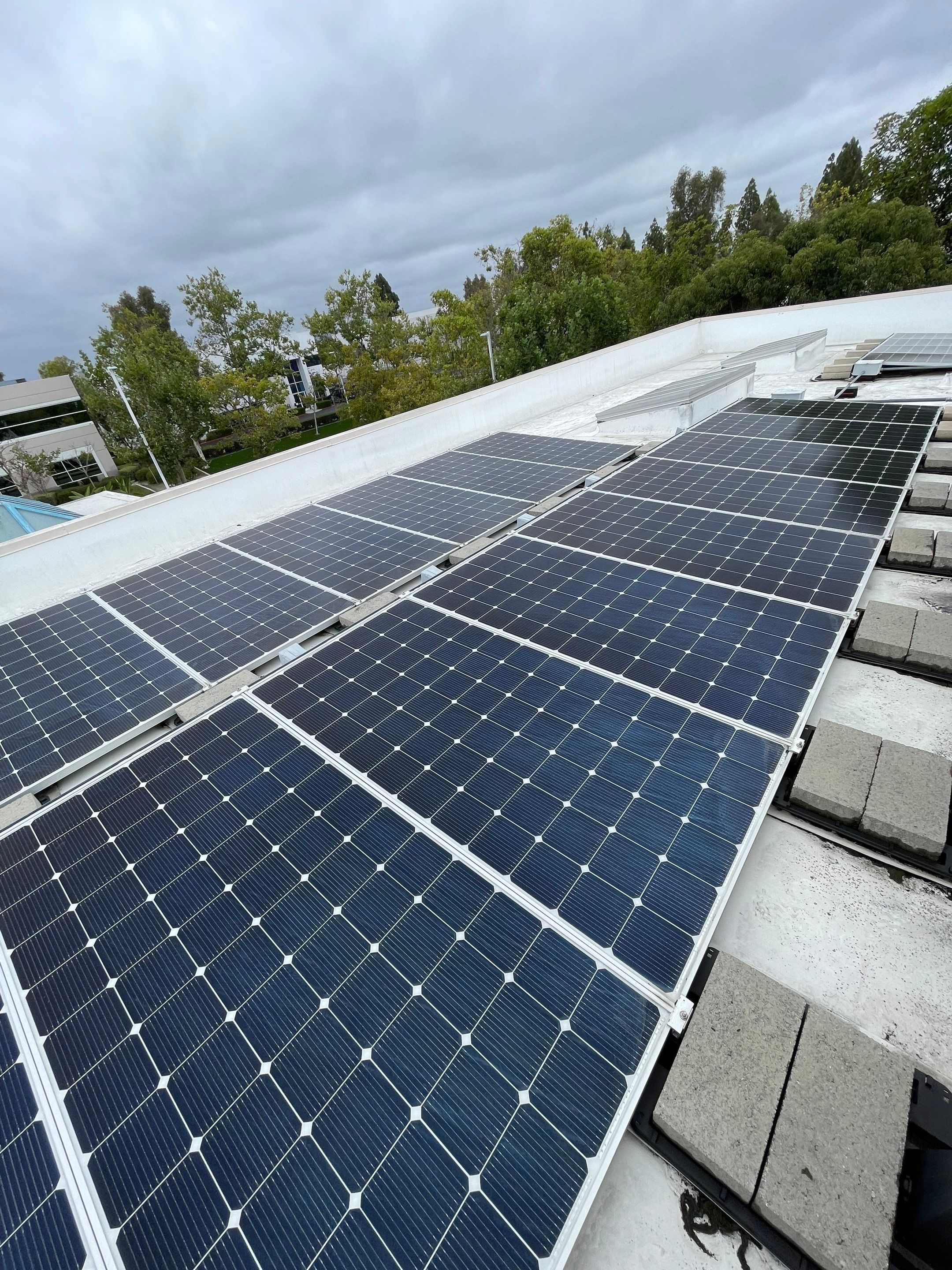 Commercial Solar Cleaning by Palm Coast Solar Cleaning
