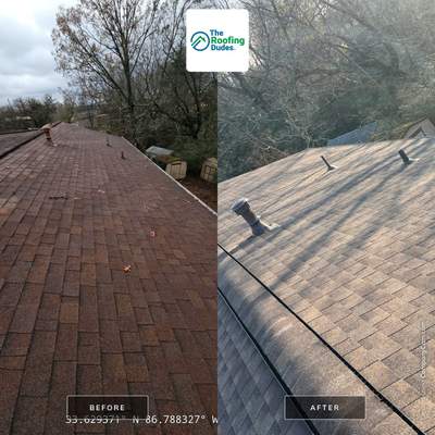 Roof Replacement (Barkwood) and Tree Removal in Birmingham 