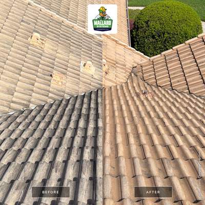 Residential Tile Roof Cleaning in Windermere