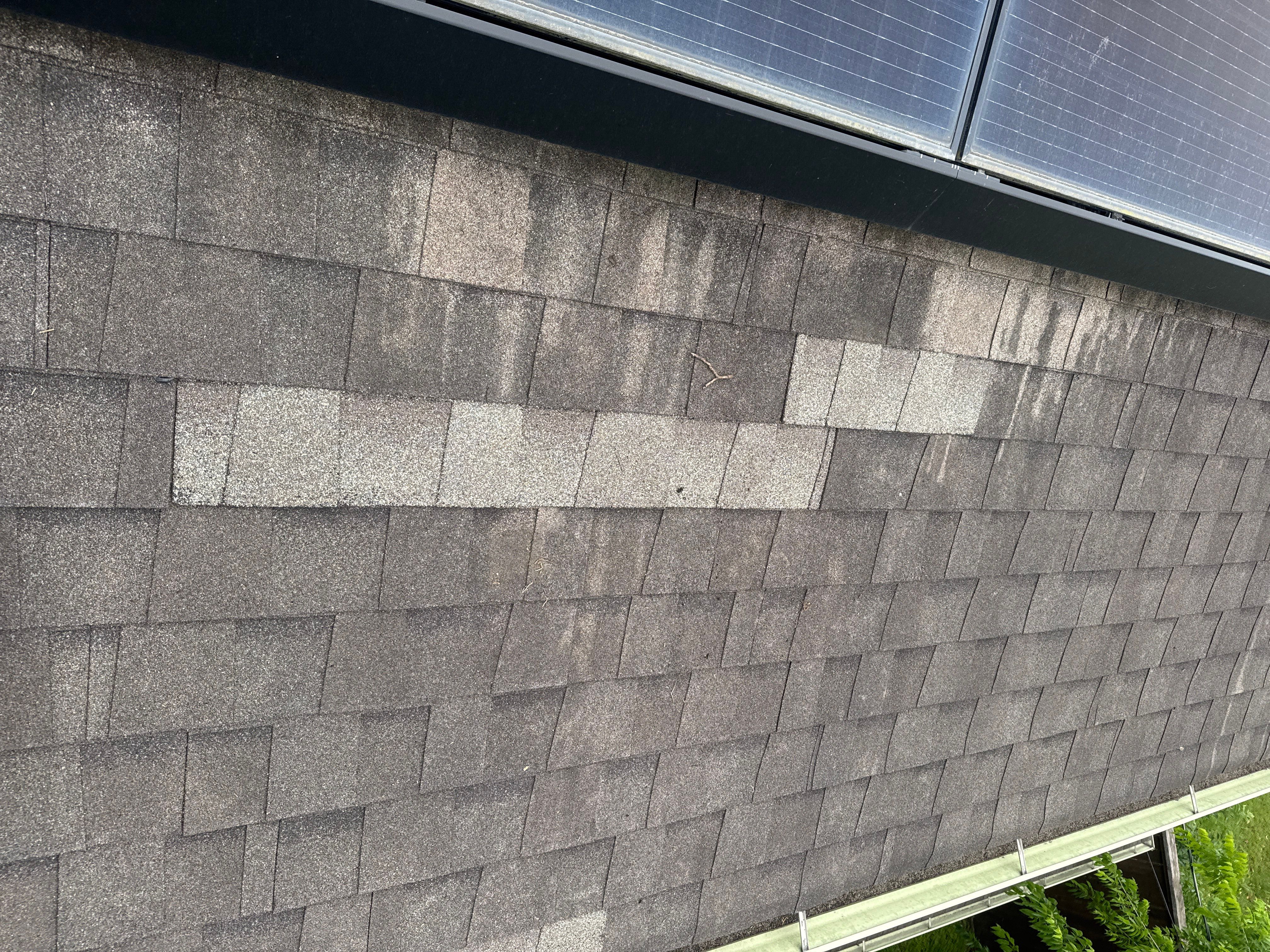 Chad Roof Repair and Maintenance  by Boss Hogg Roofing