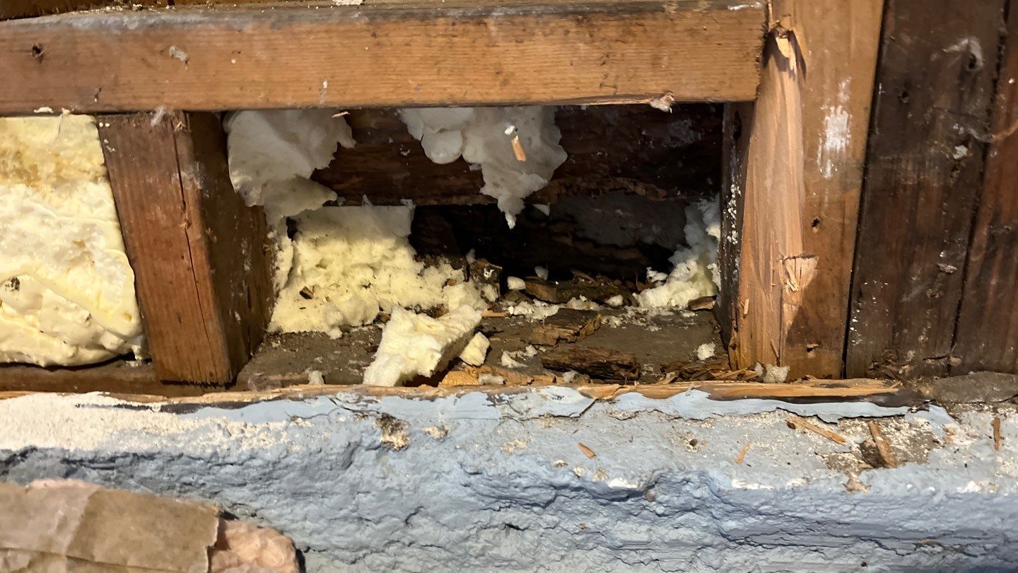 Water Damage by G2