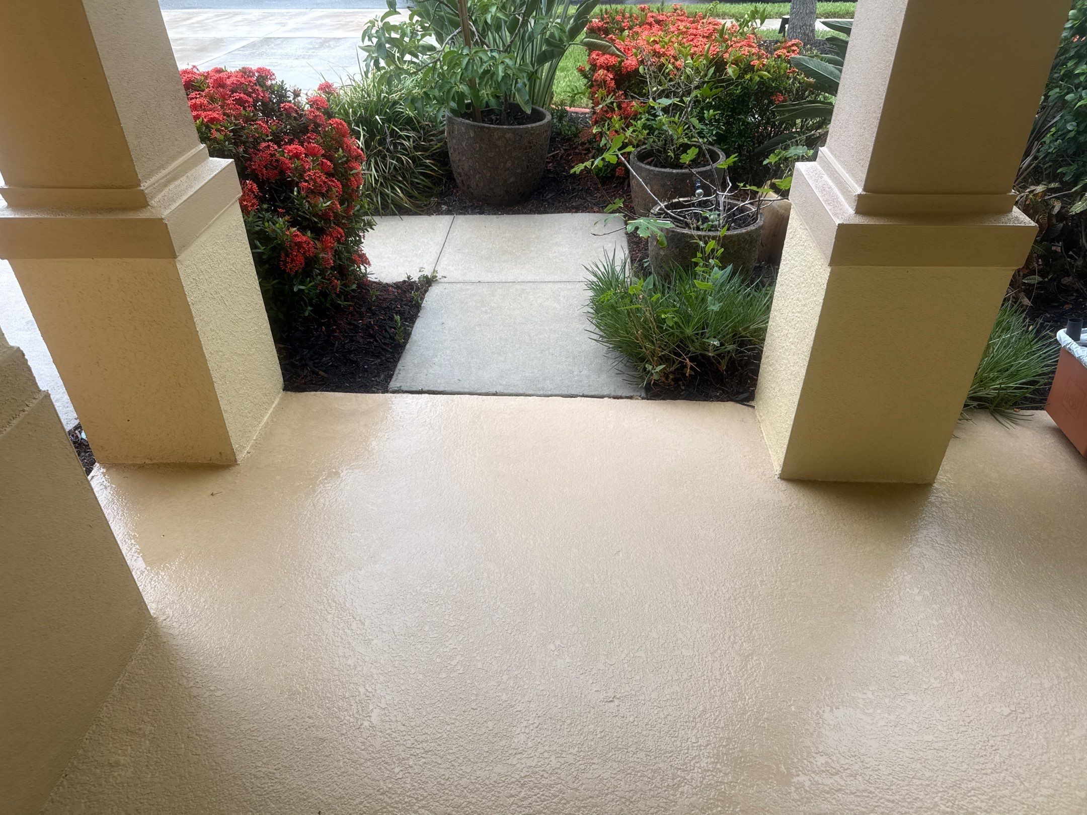 Trevesta Pool Deck & Exterior Cleaning Transformation by Sunshine AquaWash