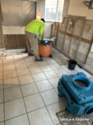 Black Mold Removal — Fort Myers, FL
