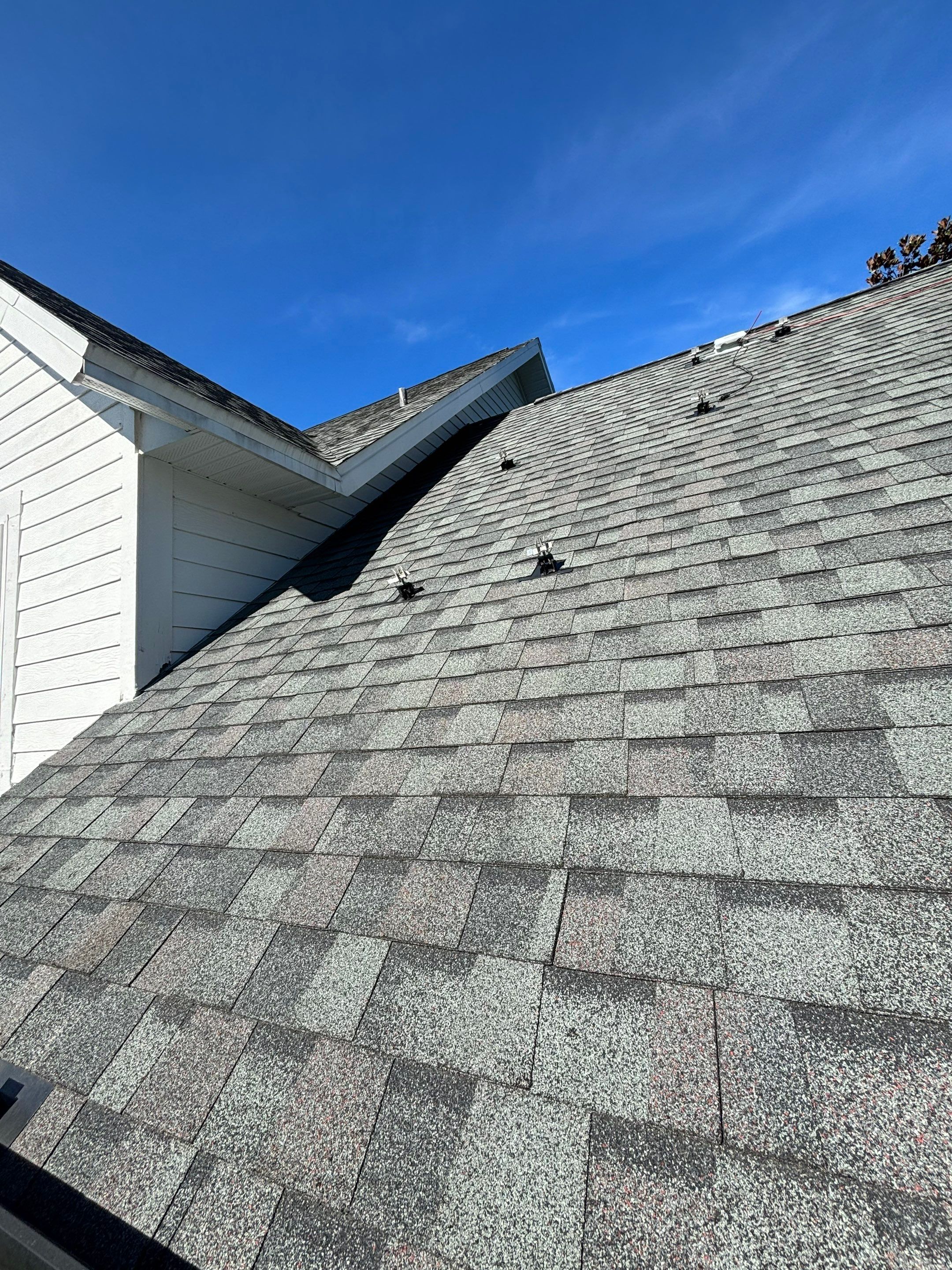 Pewter Gray Shingles by Reimagine Roofing