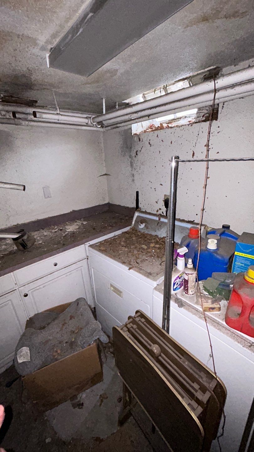 Mold Remediation by Accountable Home Services