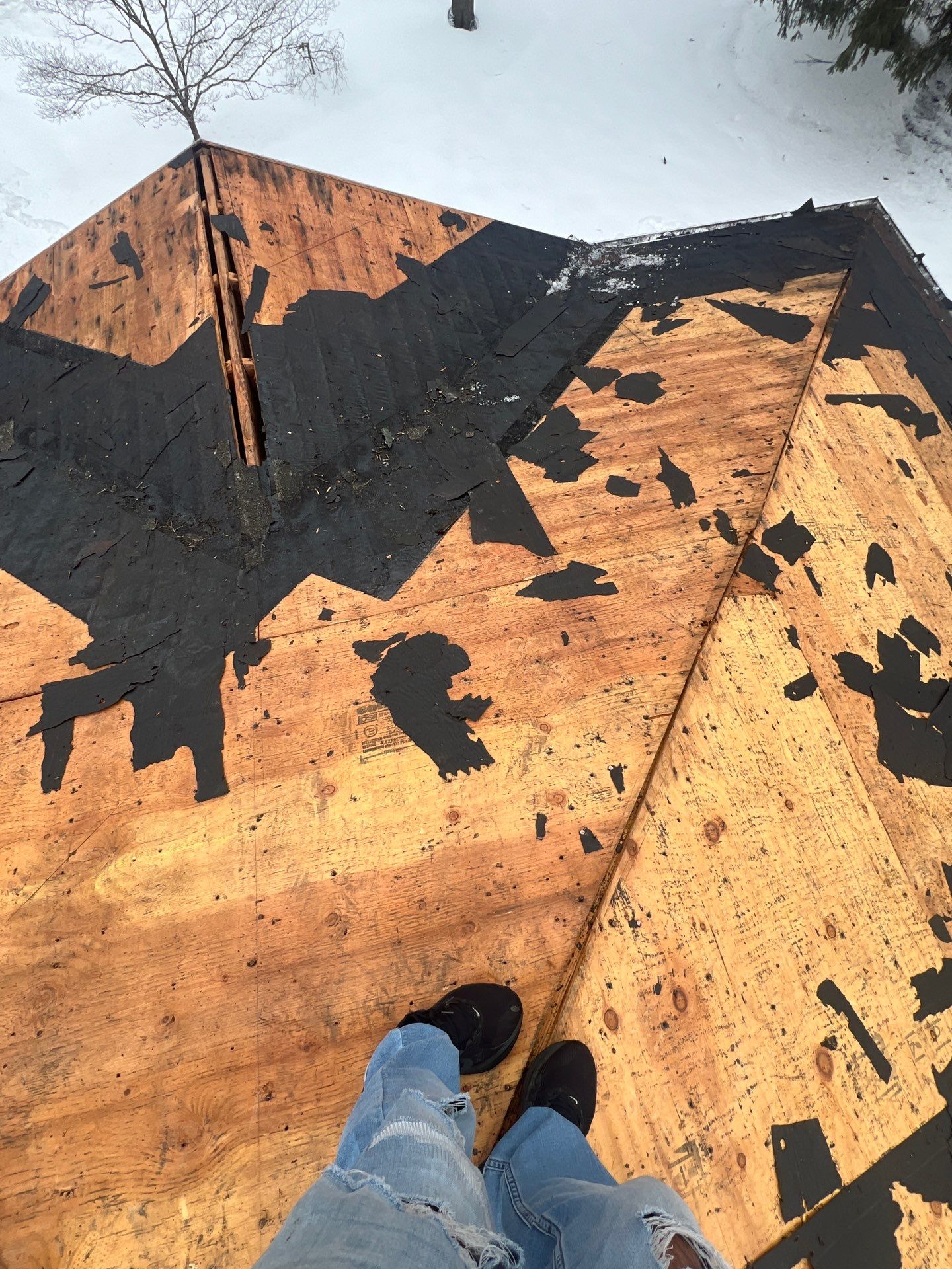 Roof Replacement by Mighty Dog Roofing of South Jersey 