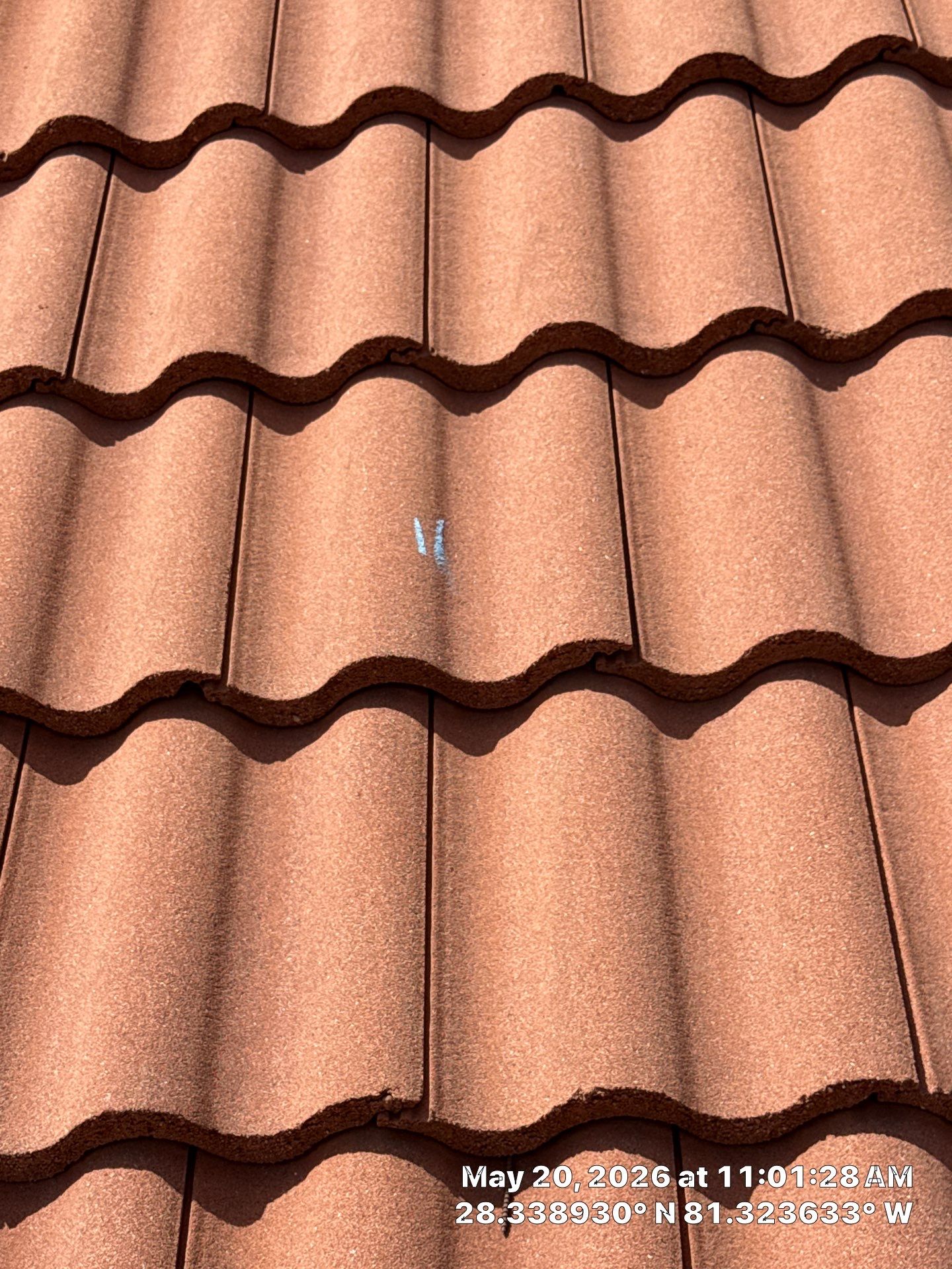 Project in Kissimmee, FL by New Horizons Roofing Inc
