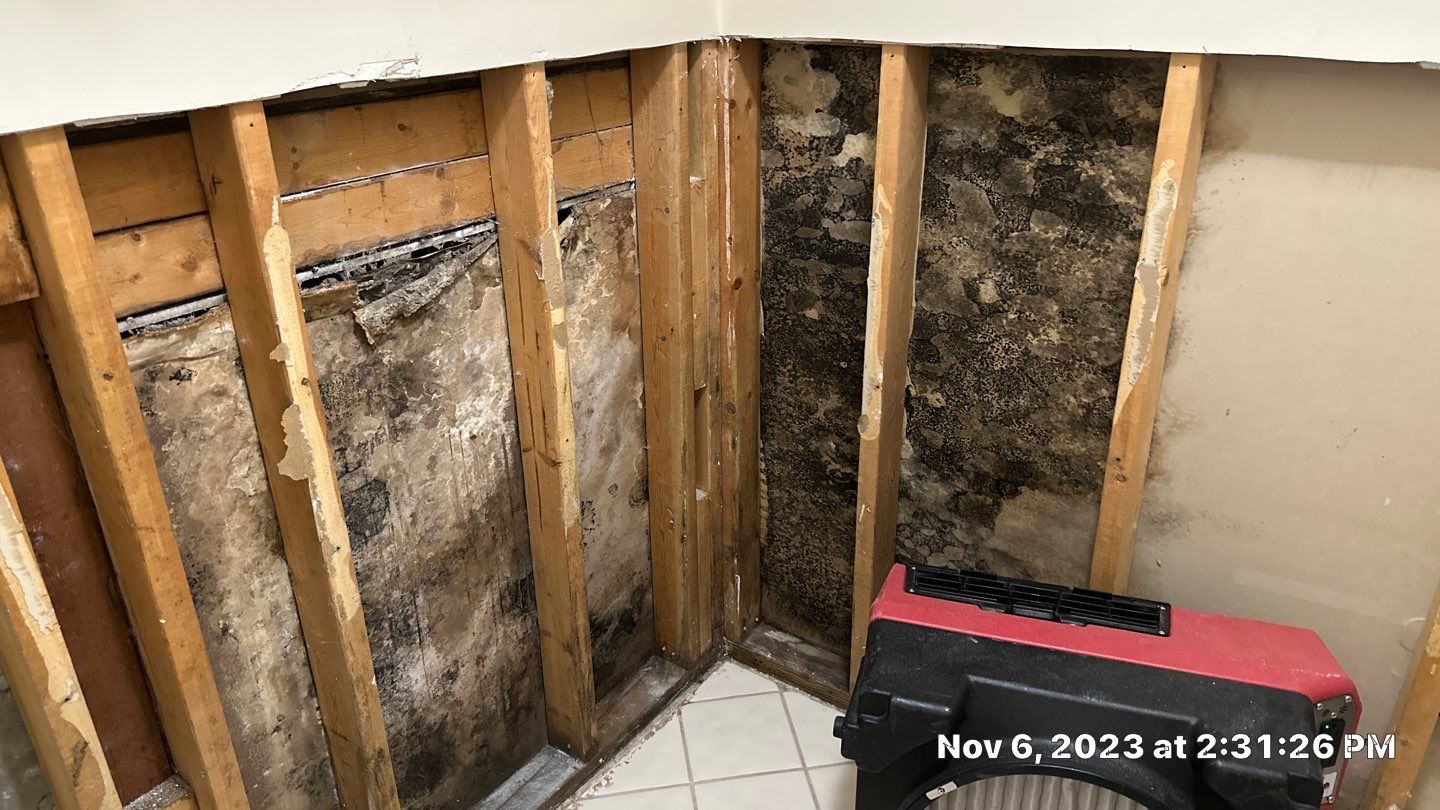 Water loss by Building performance Solutions LLC