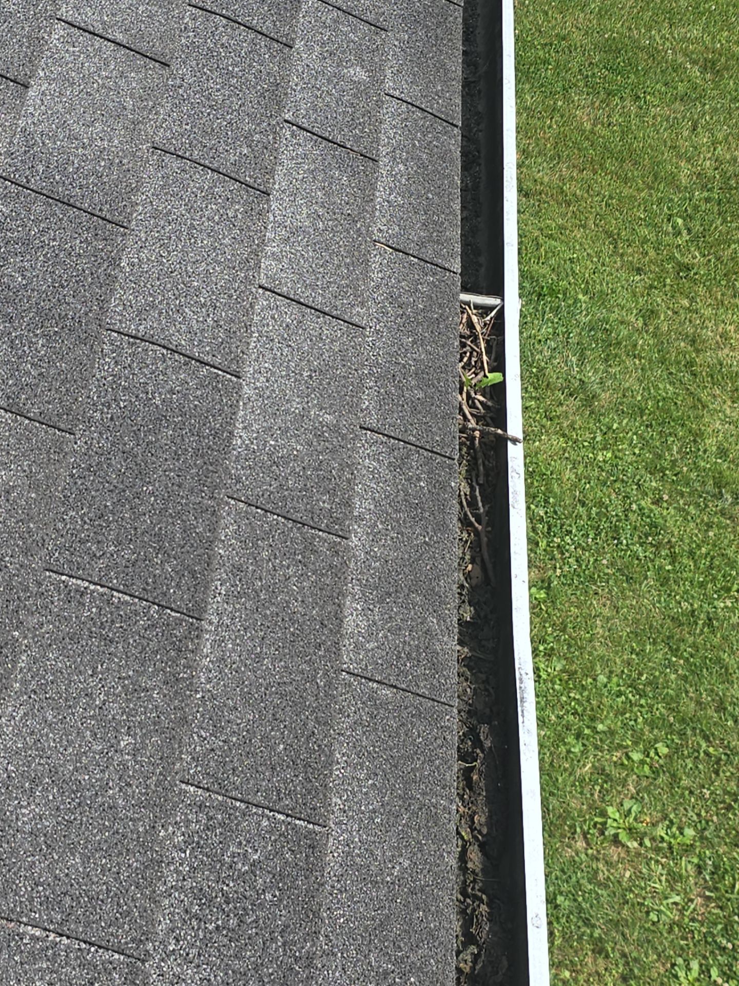 Commercial gutter cleaning Muncie, IN before photo with filled gutters