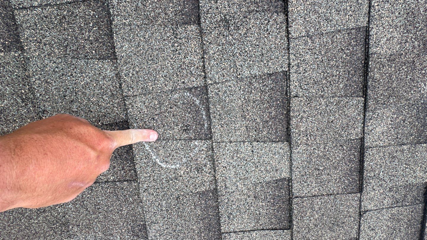 Franky Inspection by Boss Hogg Roofing