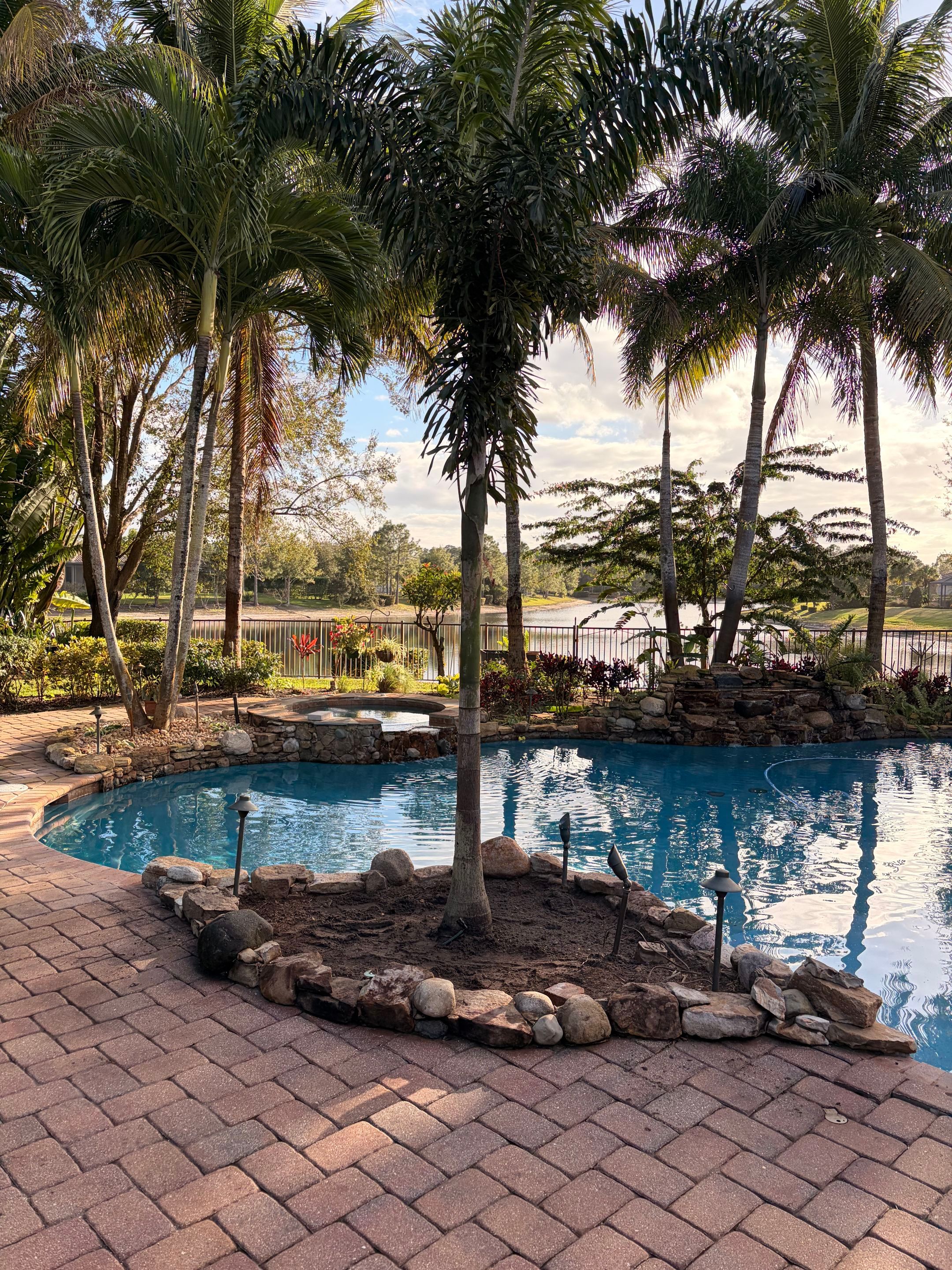 Palm Perfection & Poolside Restoration in Lighthouse Point by Alpha Zeta Enterprises Inc