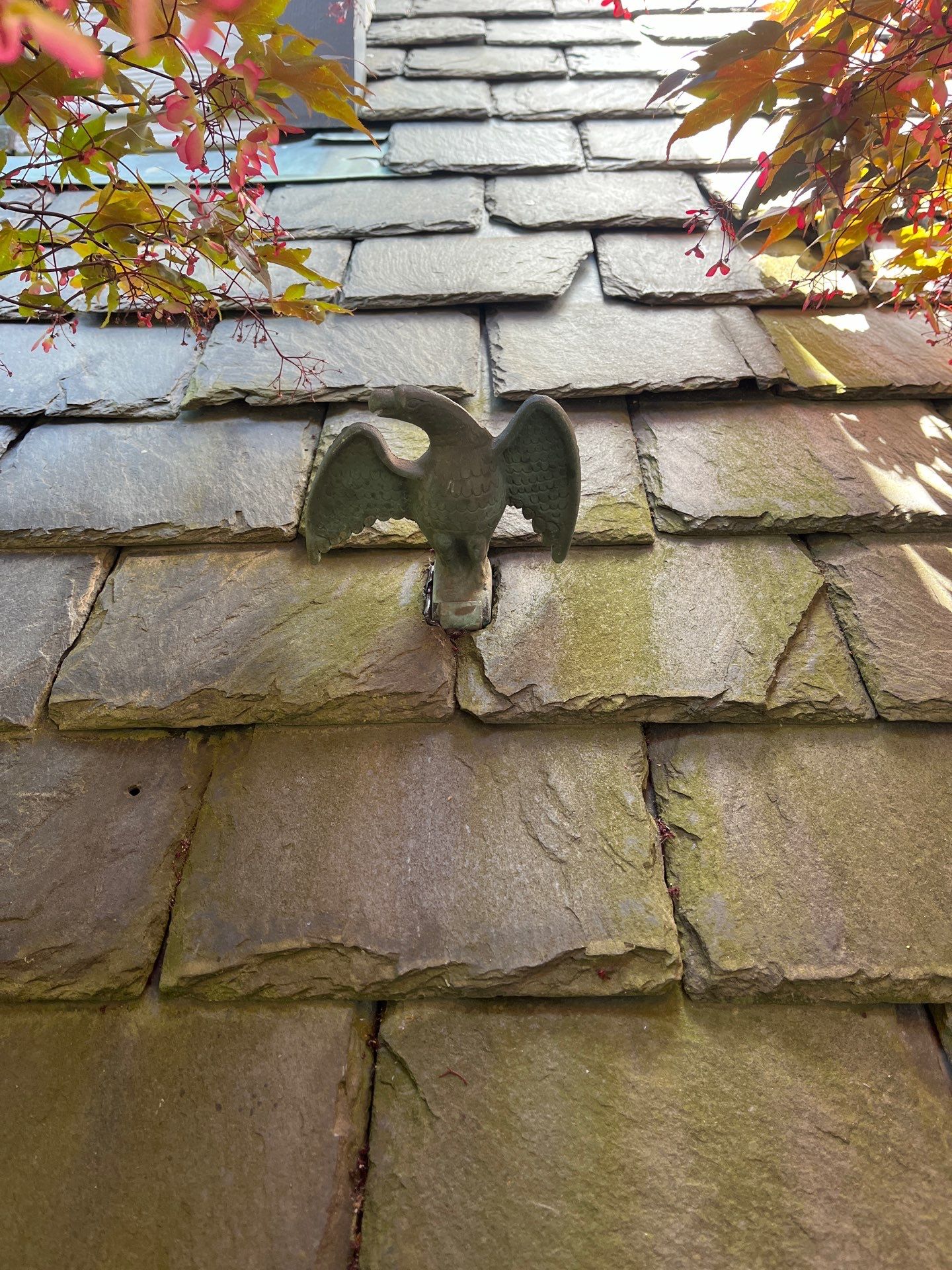 Arlington: Buckingham Slate and Carlisle Syntec TPO Roof by RM Banning, Inc.