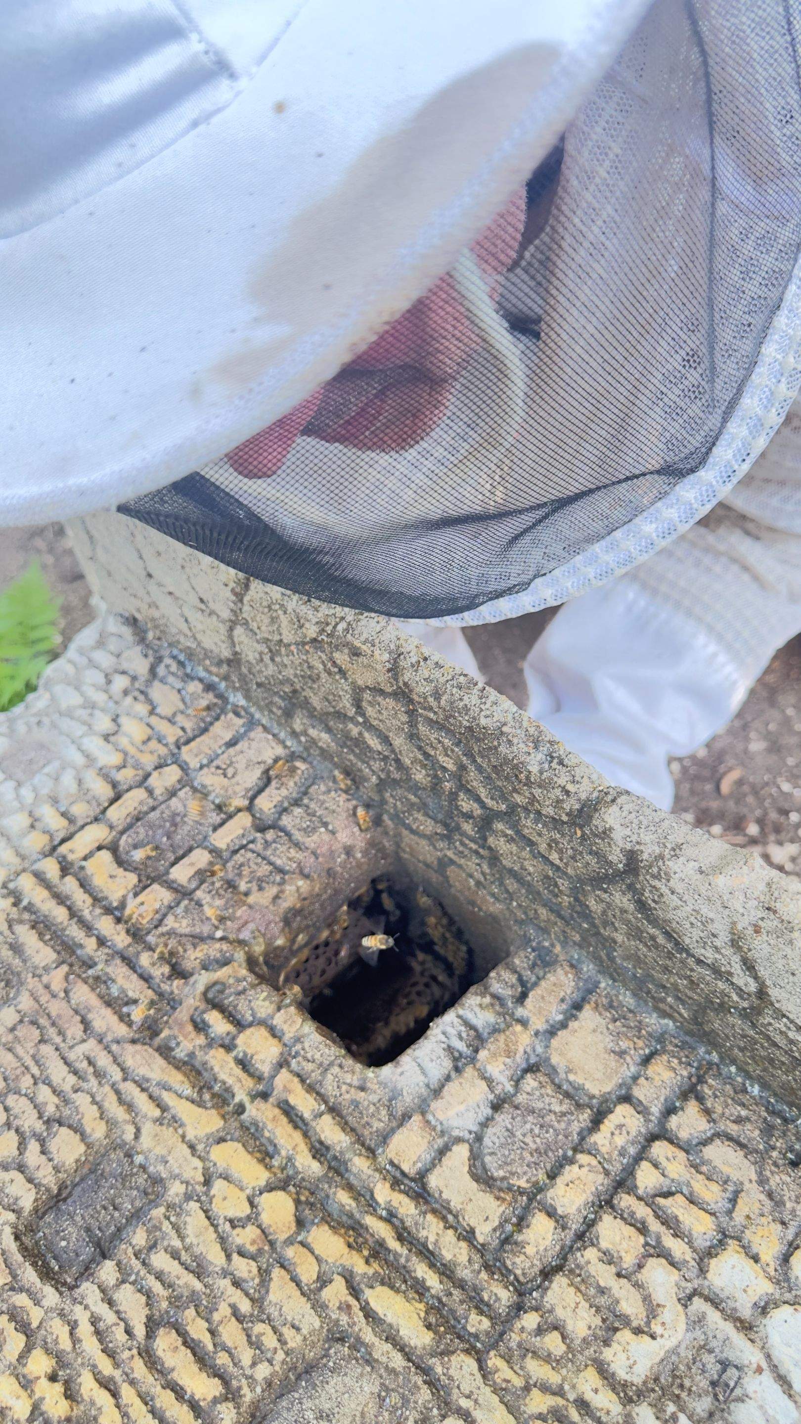 Bird Houses by Rockwall Honey Bee Company