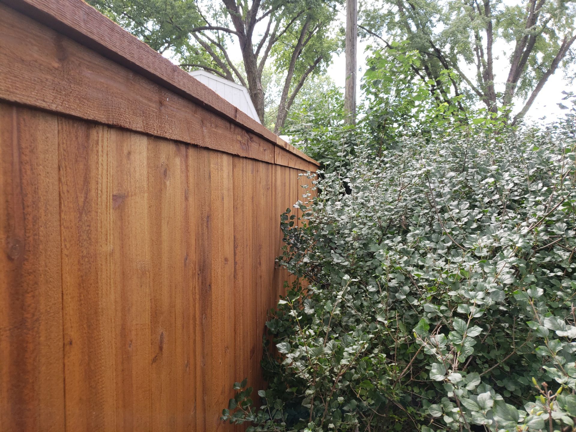 Custom Cedar Privacy Fence with Decorative Gate Windows in Cedar Falls by Perfect Picket Fence and Stain