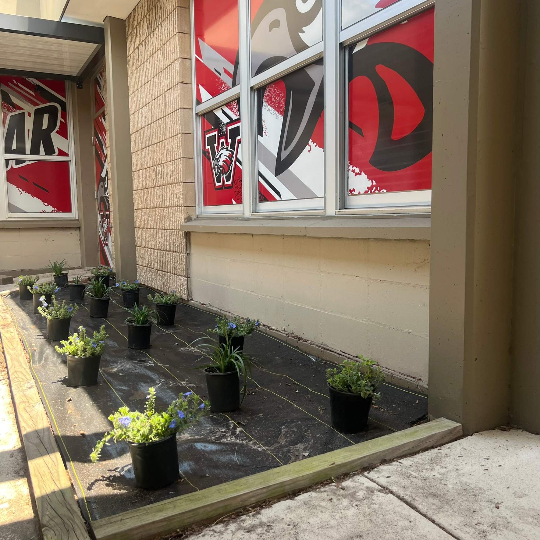Landscape Install | Wilkinson JHS by ProGreen Services