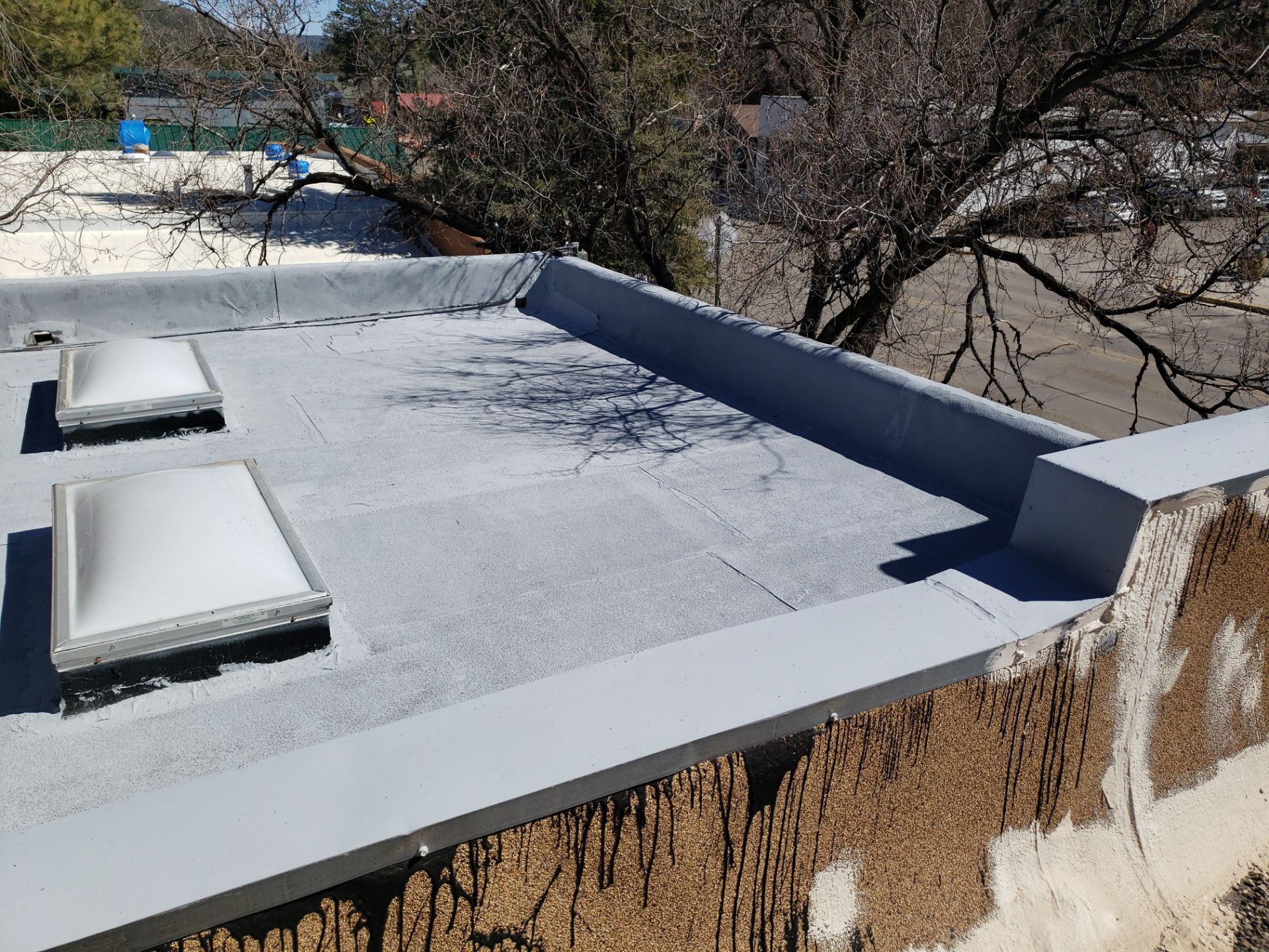 3M Cattle Co Roof by SPF Services
