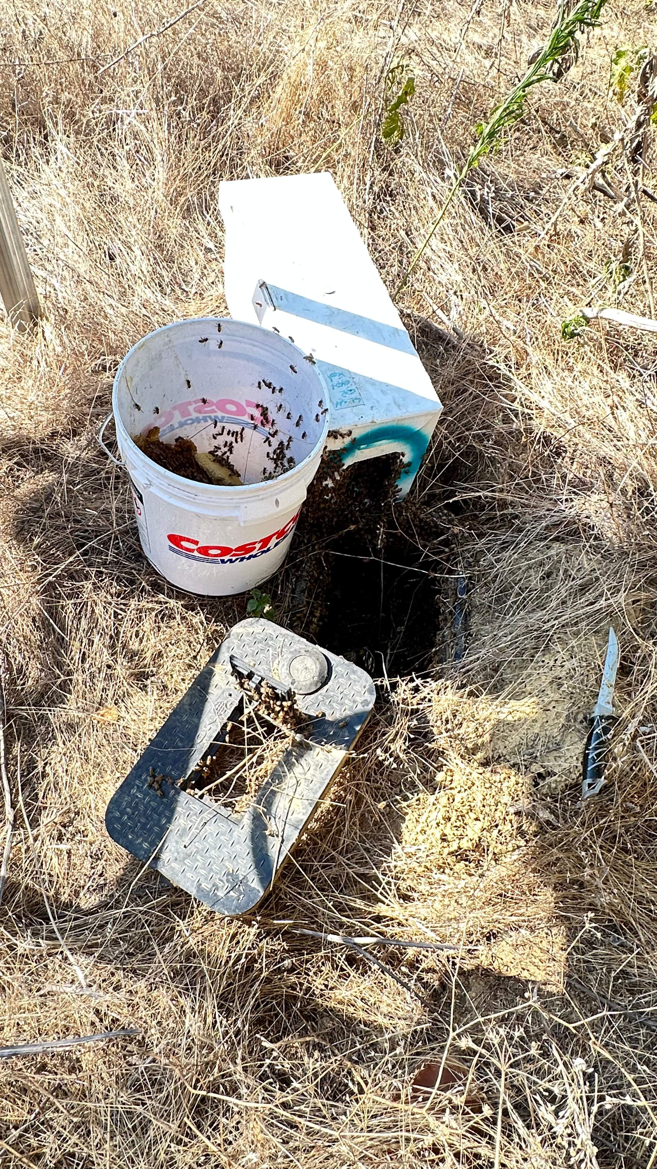 Well Meter by Rockwall Honey Bee Company