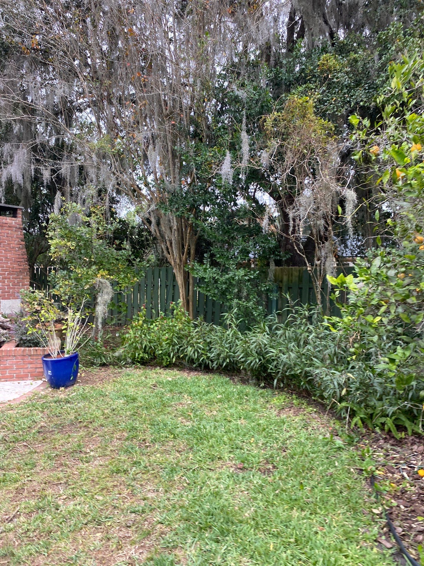 Deerwood Resident | Extreme Cleanup by ProGreen Services