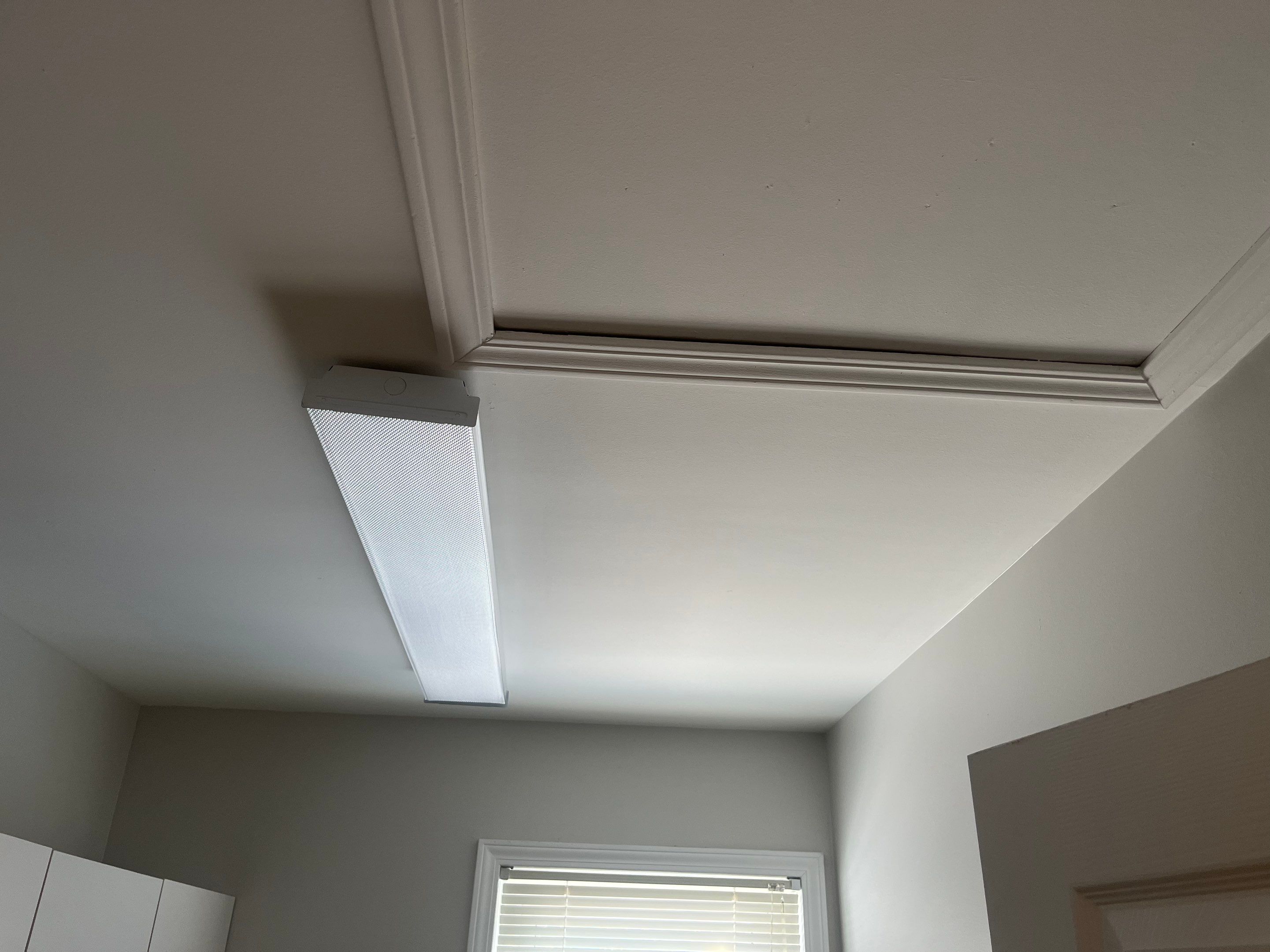 Mold Remediation and Repairs in Louisville, KY by ANR Restoration