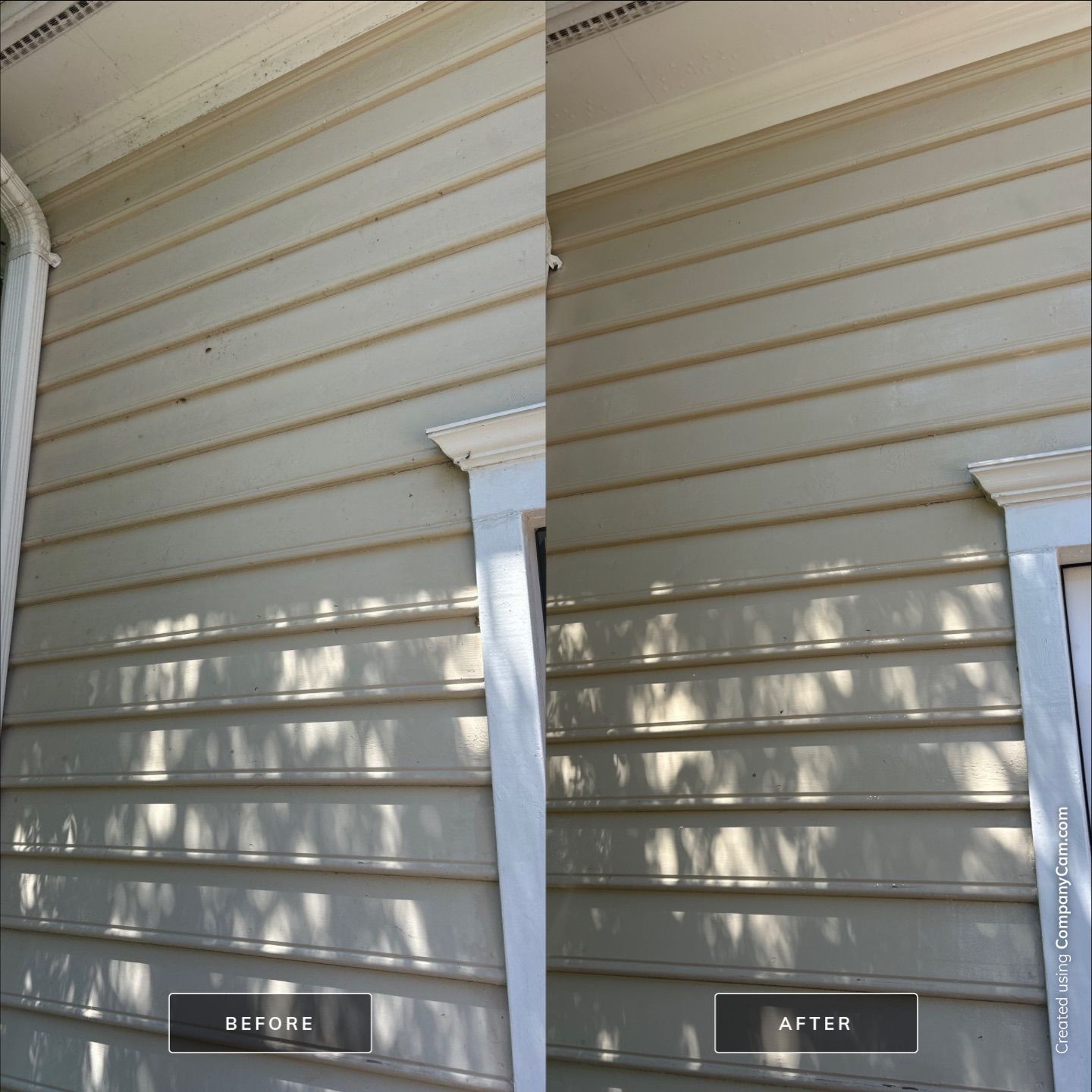 House Washing in Wilmington by Shark Power Washing