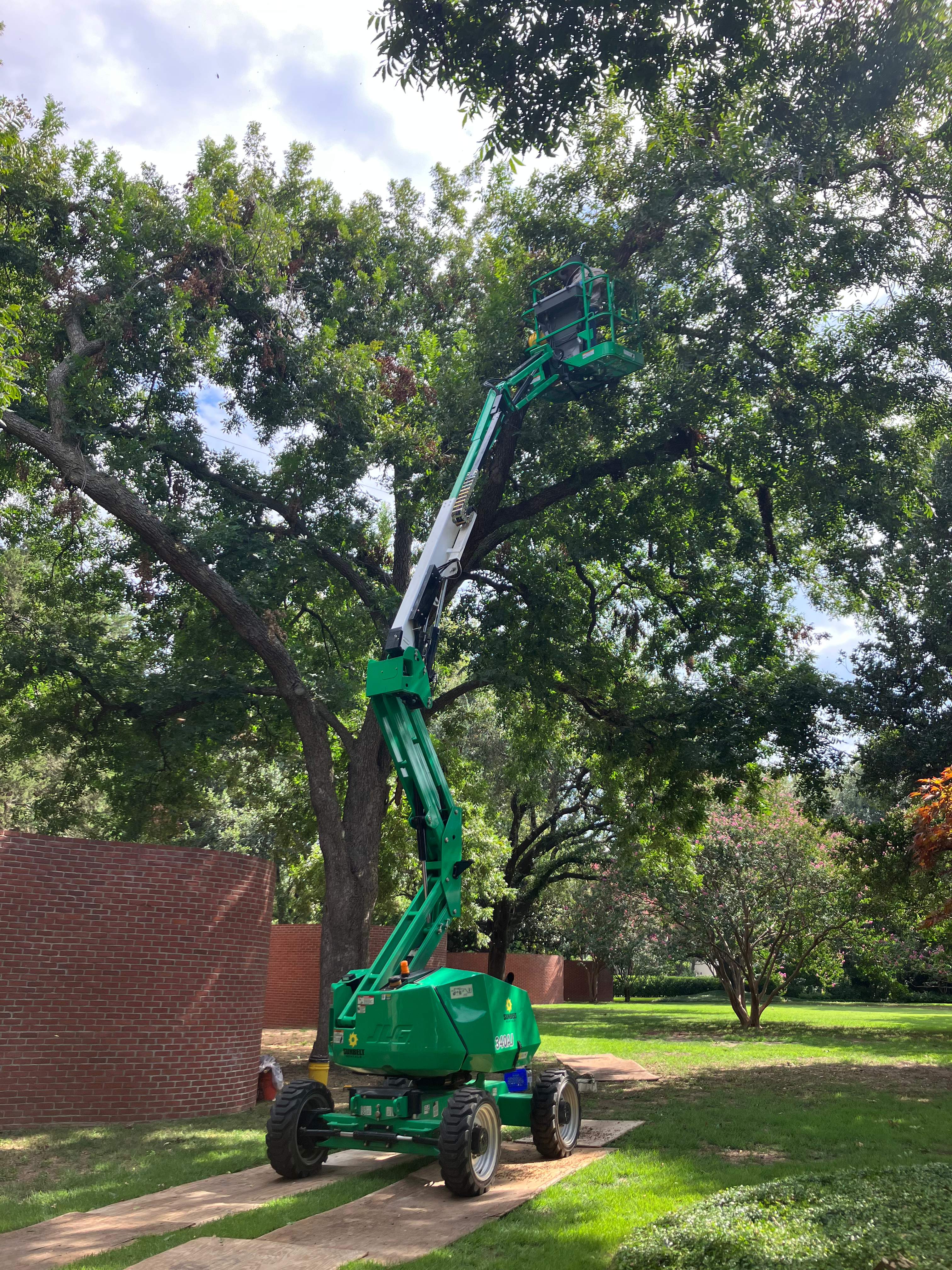 Open-Air Massive Colony by Rockwall Honey Bee Company