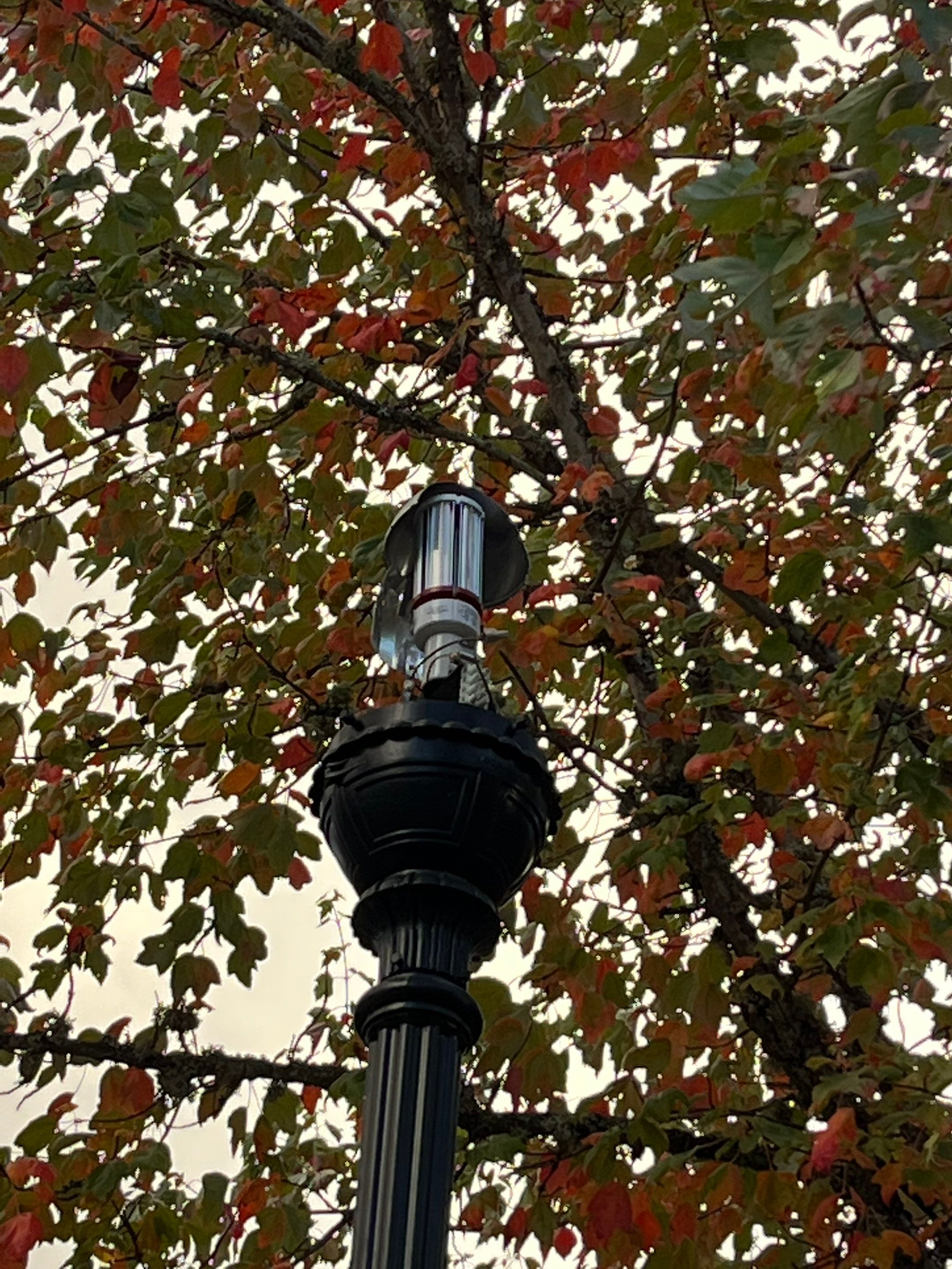 Project in Renton by Aztec Electric LLC