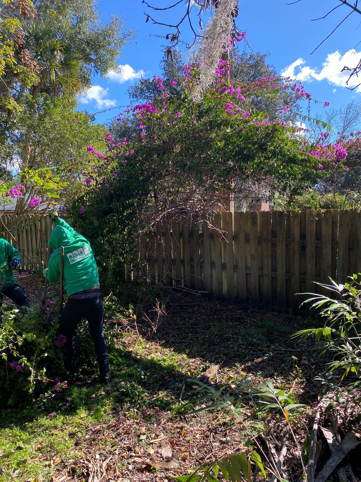 Deerwood Resident | Shrub Removal by ProGreen Services