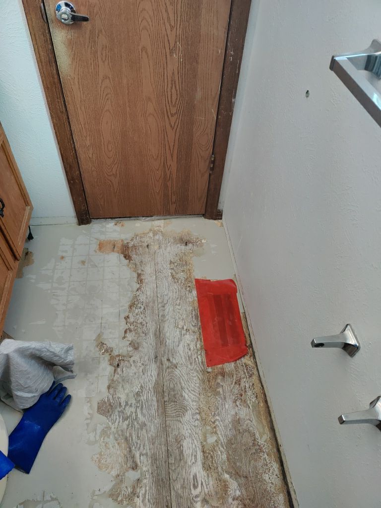 Mold Remediation  by Accountable Home Services