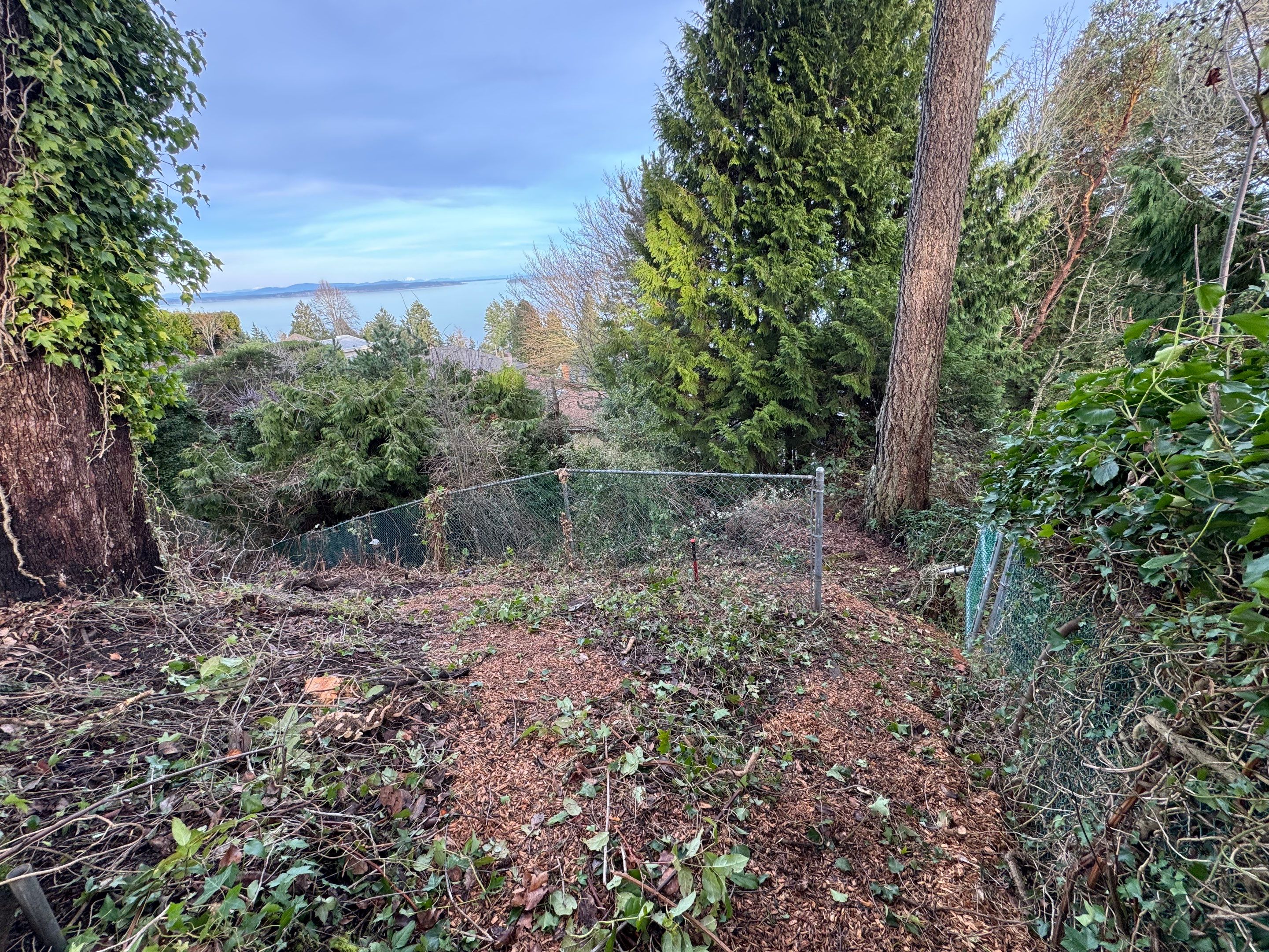 Georgia Park Terrace — Living Slope Transformation by Habanero Landscape Solutions