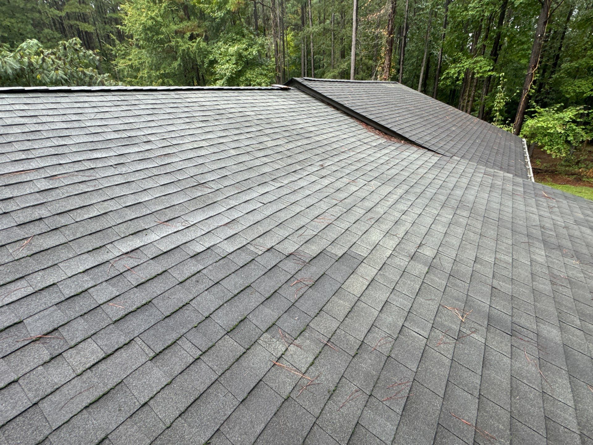 Architectural Shingle Roof Replacement and Chimney Flashing in Amelia Court House by Cade Construction
