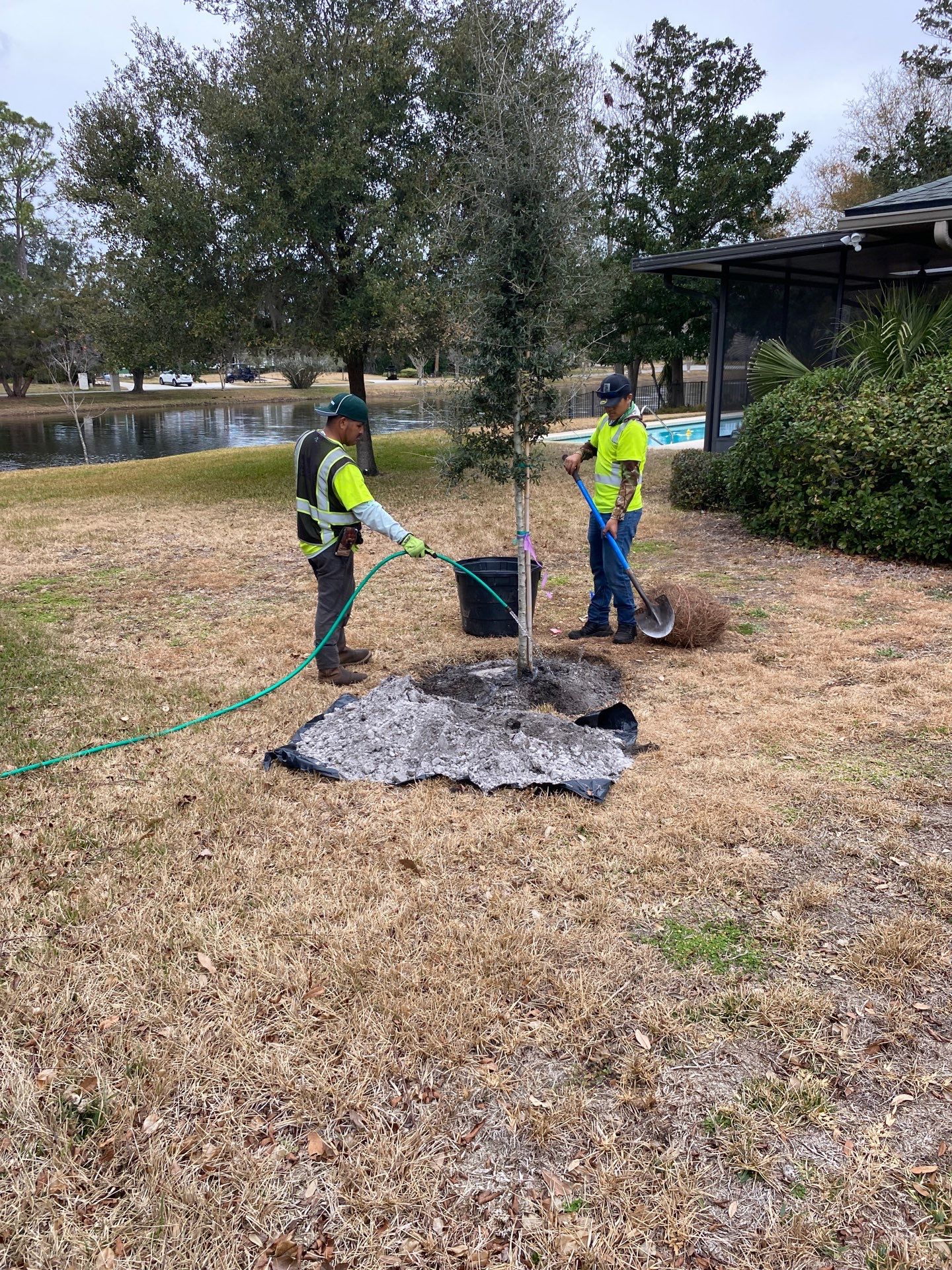 Deerwood Resident | Tree Install by ProGreen Services