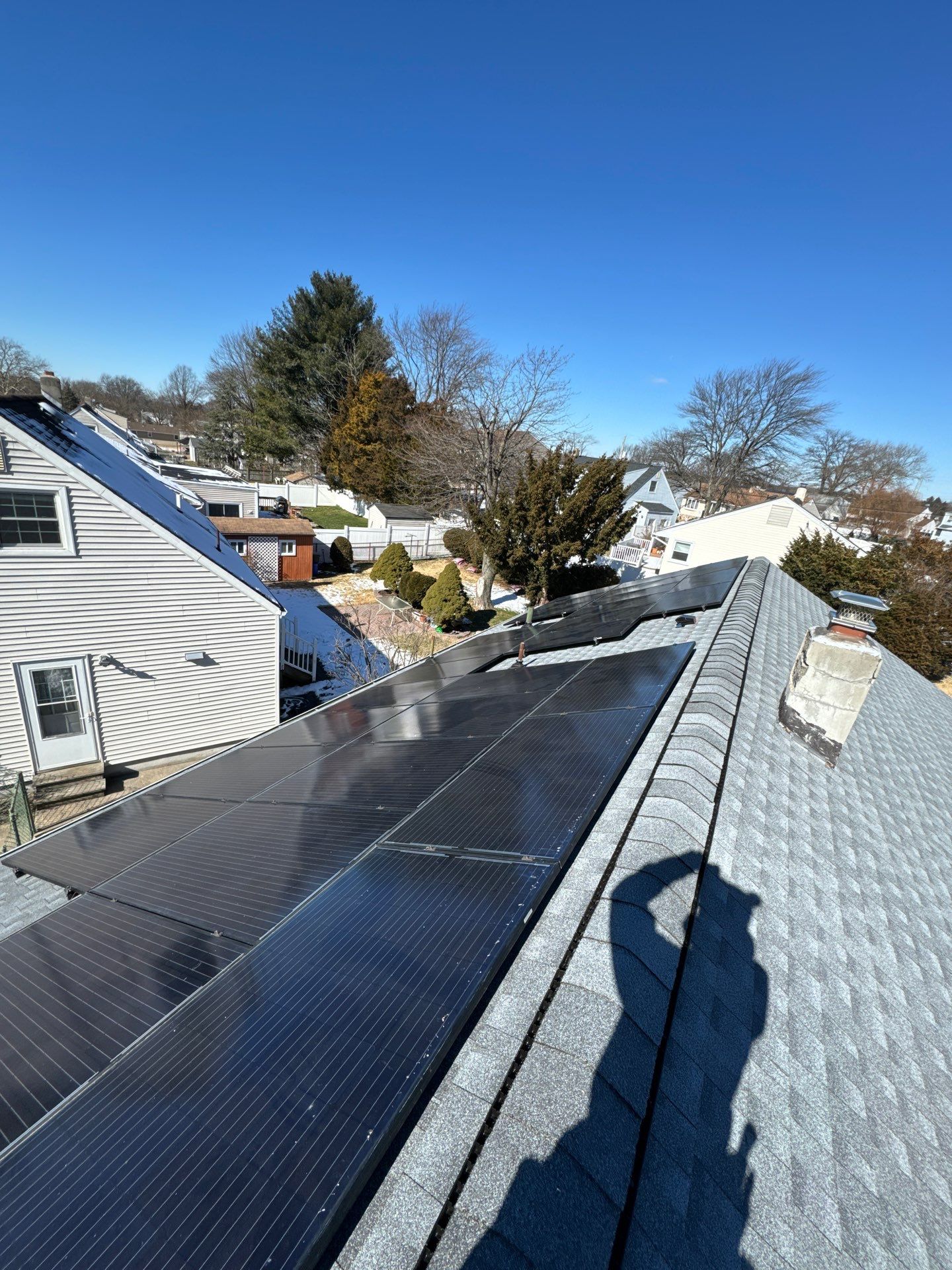 Silver Birch Shingles by Reimagine Roofing