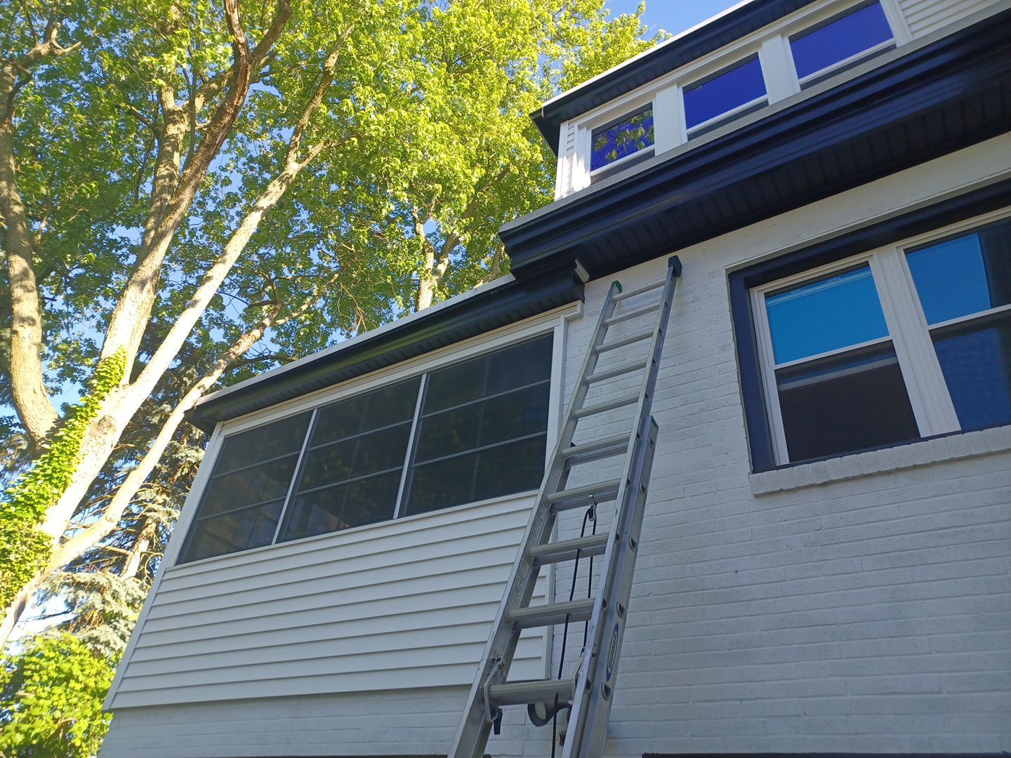 Emily Gonzalez by Silver Leaf Contracting 