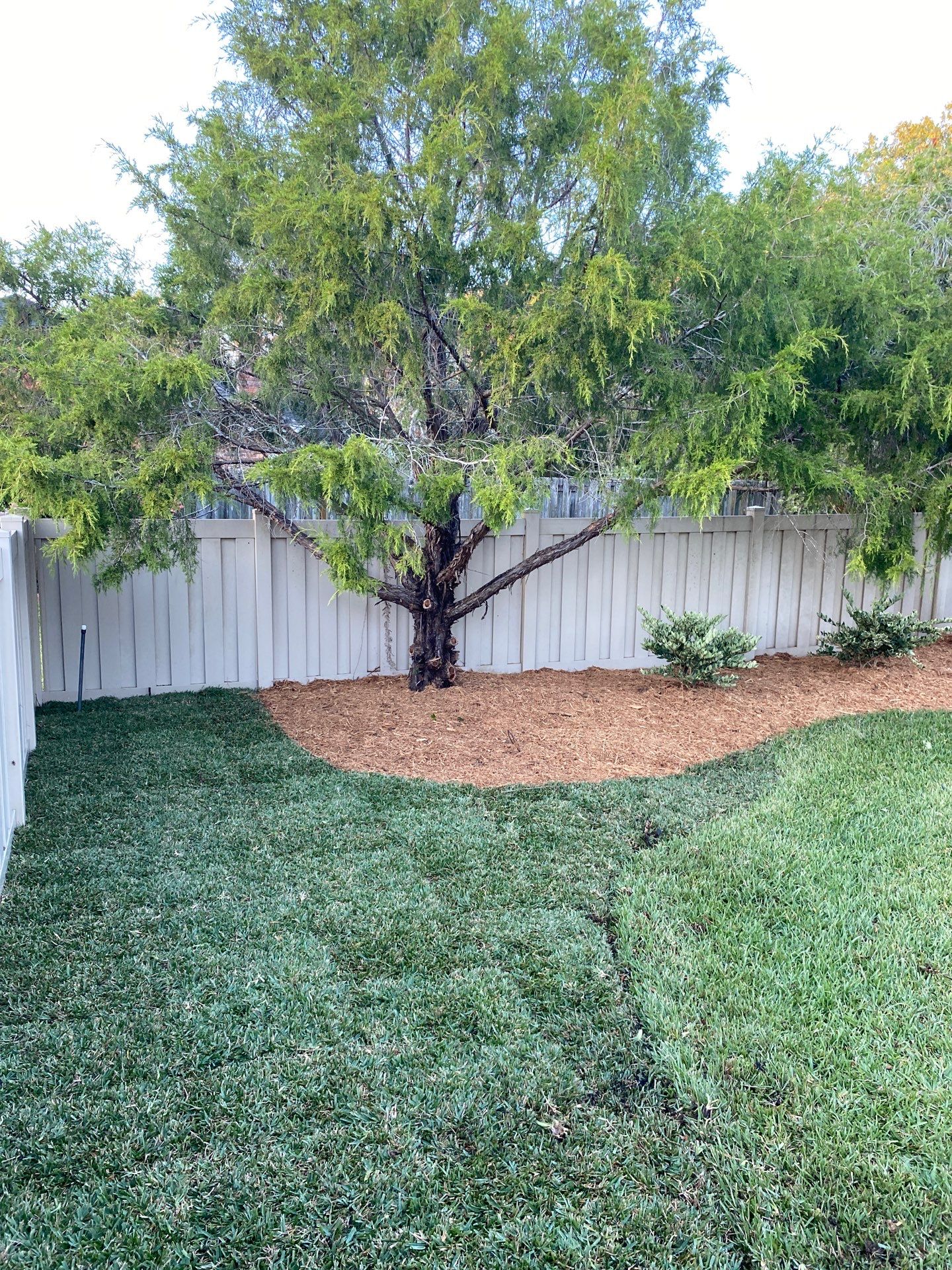 Deerwood Resident | Landscape Project by ProGreen Services