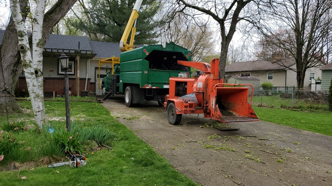 Tree Removal using Tree Removal by Mike Jones & Sons Tree Service LLC 