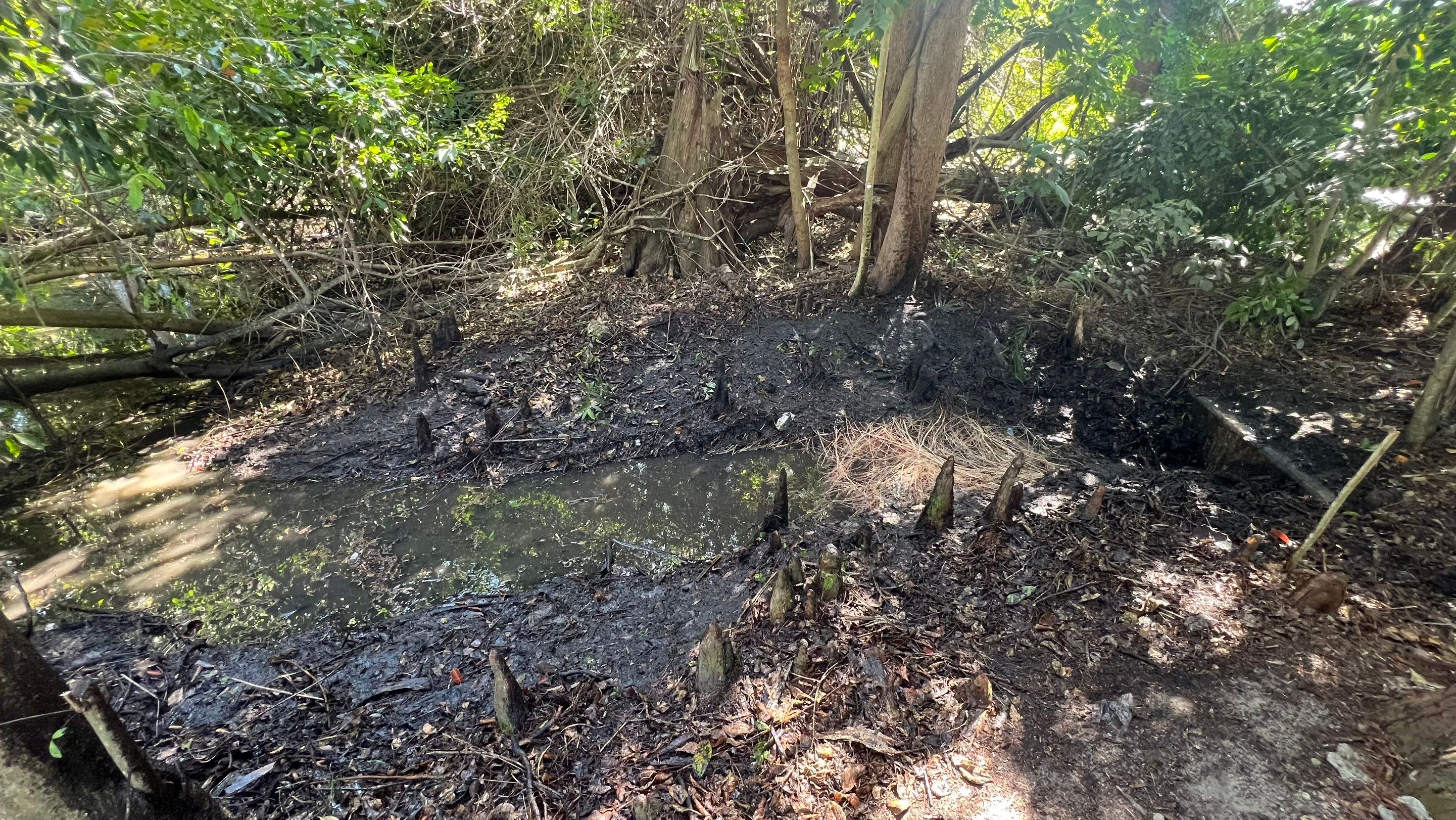 Naples Community Storm Water System Maintenance by Don Mar, Inc. Storm Water Solutions