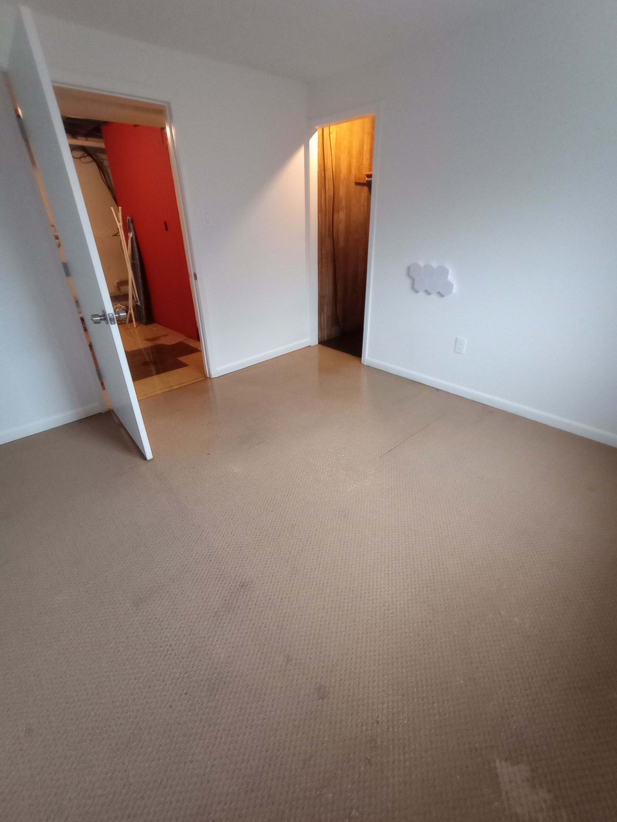 Flooded Basement Water Mitigation by ANR Restoration