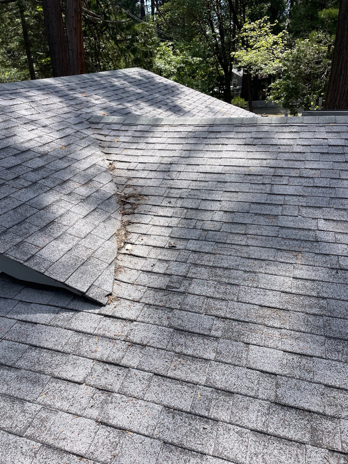 Roof Rejuvenation using Roof Maxx Treatment by Roof Maxx of Folsom