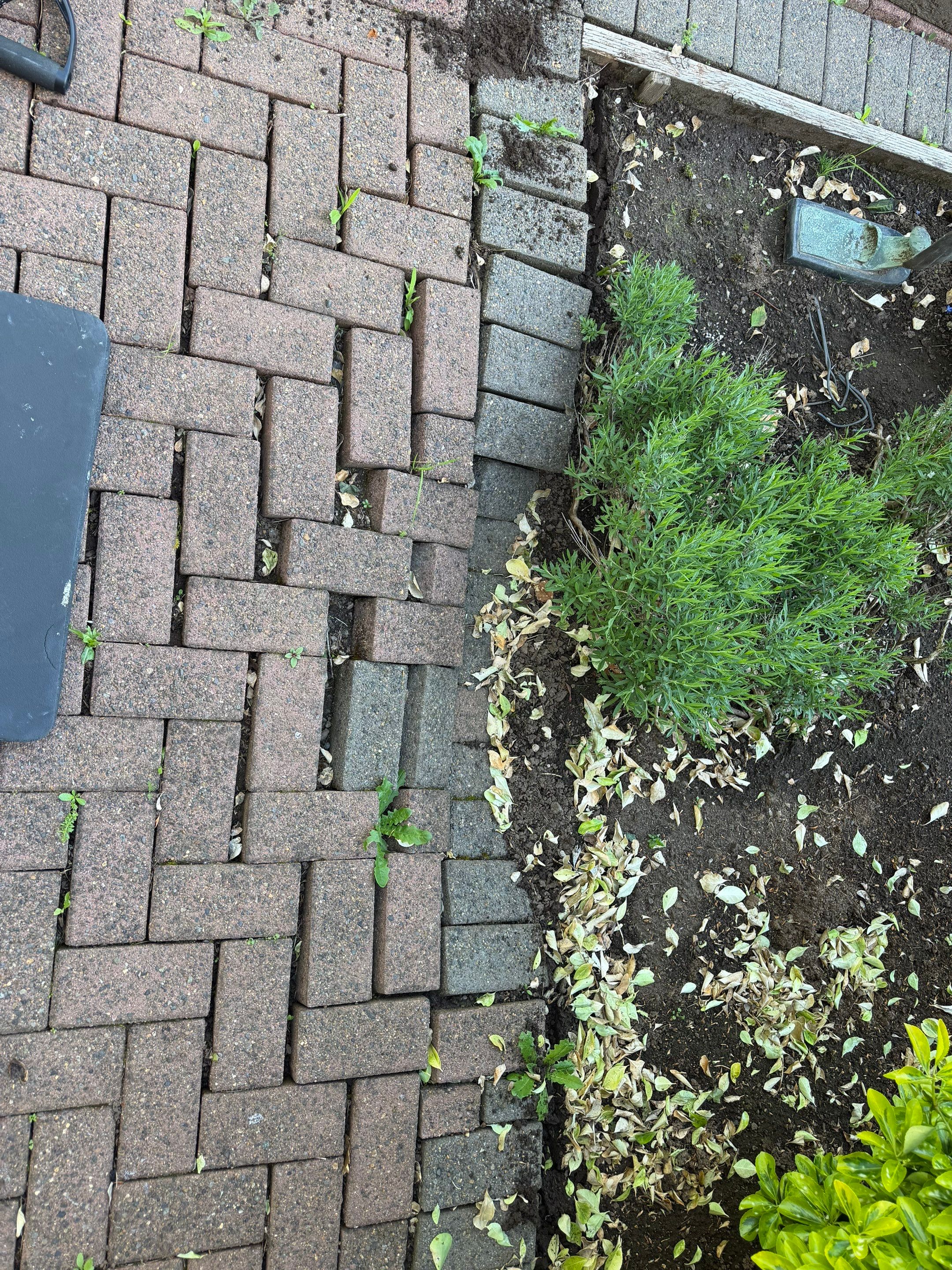 Pavers Restoration by Handyman State LLC