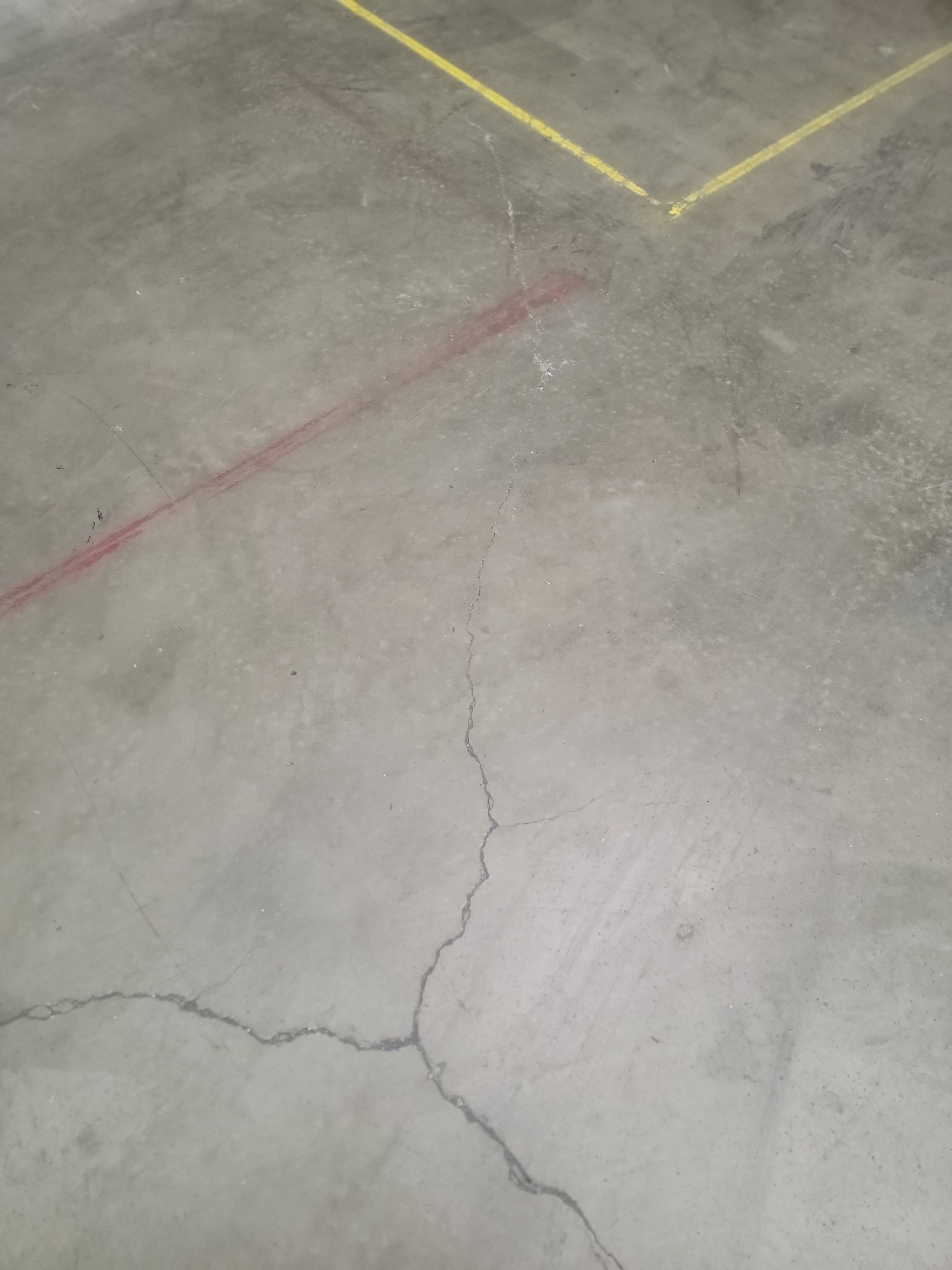 Custom Chip Polyurea Floor Coating for San Luis Obispo Commercial Unit by MGP Coatings