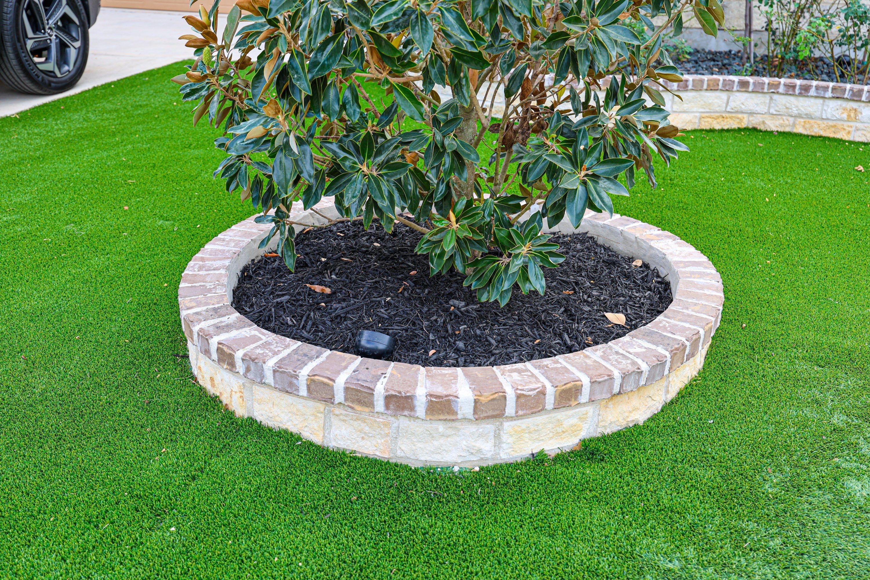 Wortham Oaks - San Antonio, TX by Hole In One Lawns, LLC