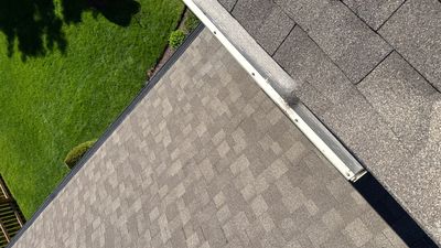 Turtle Shell gutter protection installation in Naperville, IL 60564, photograph 8