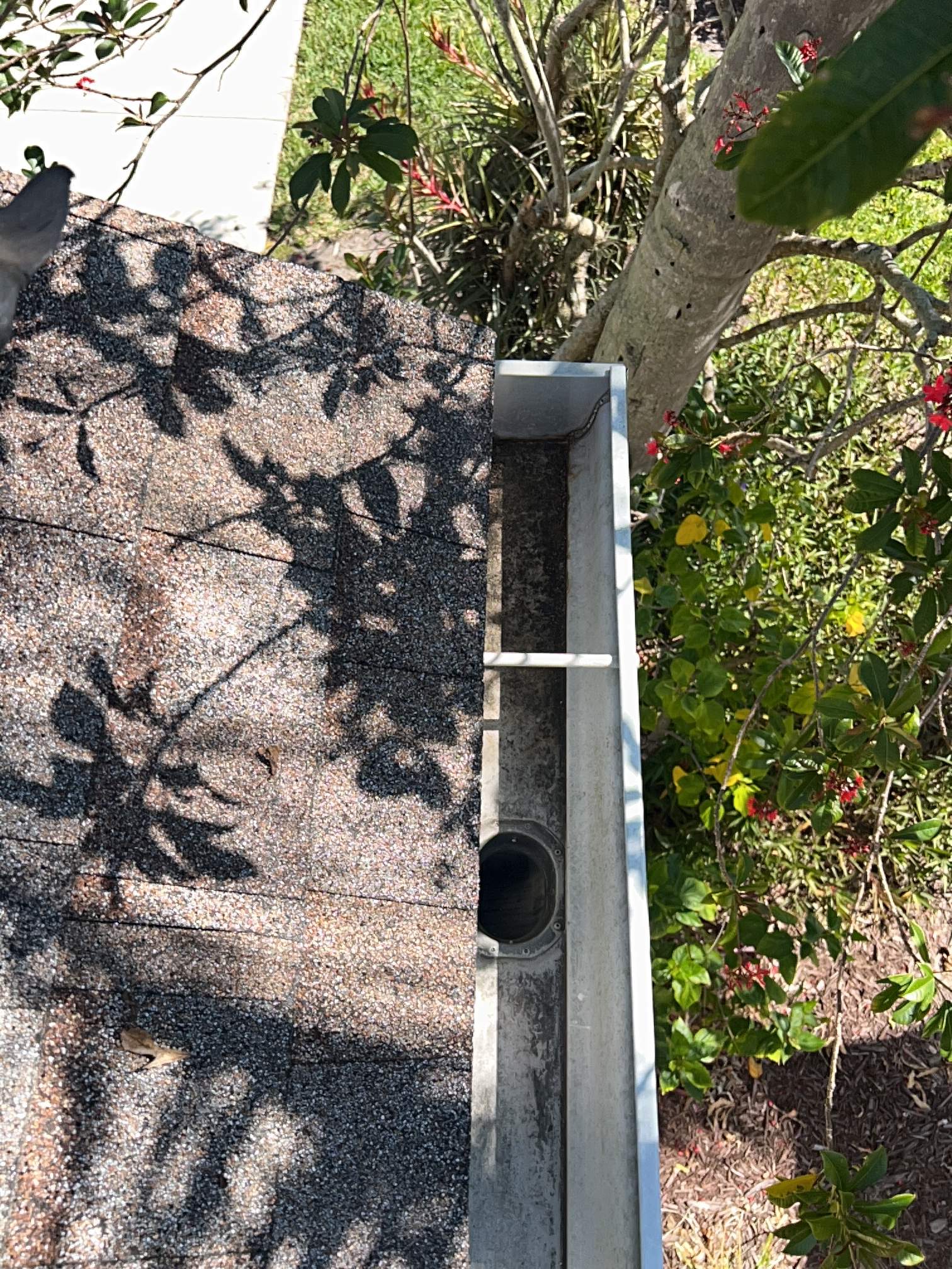 HOA gutter cleaning after photo.