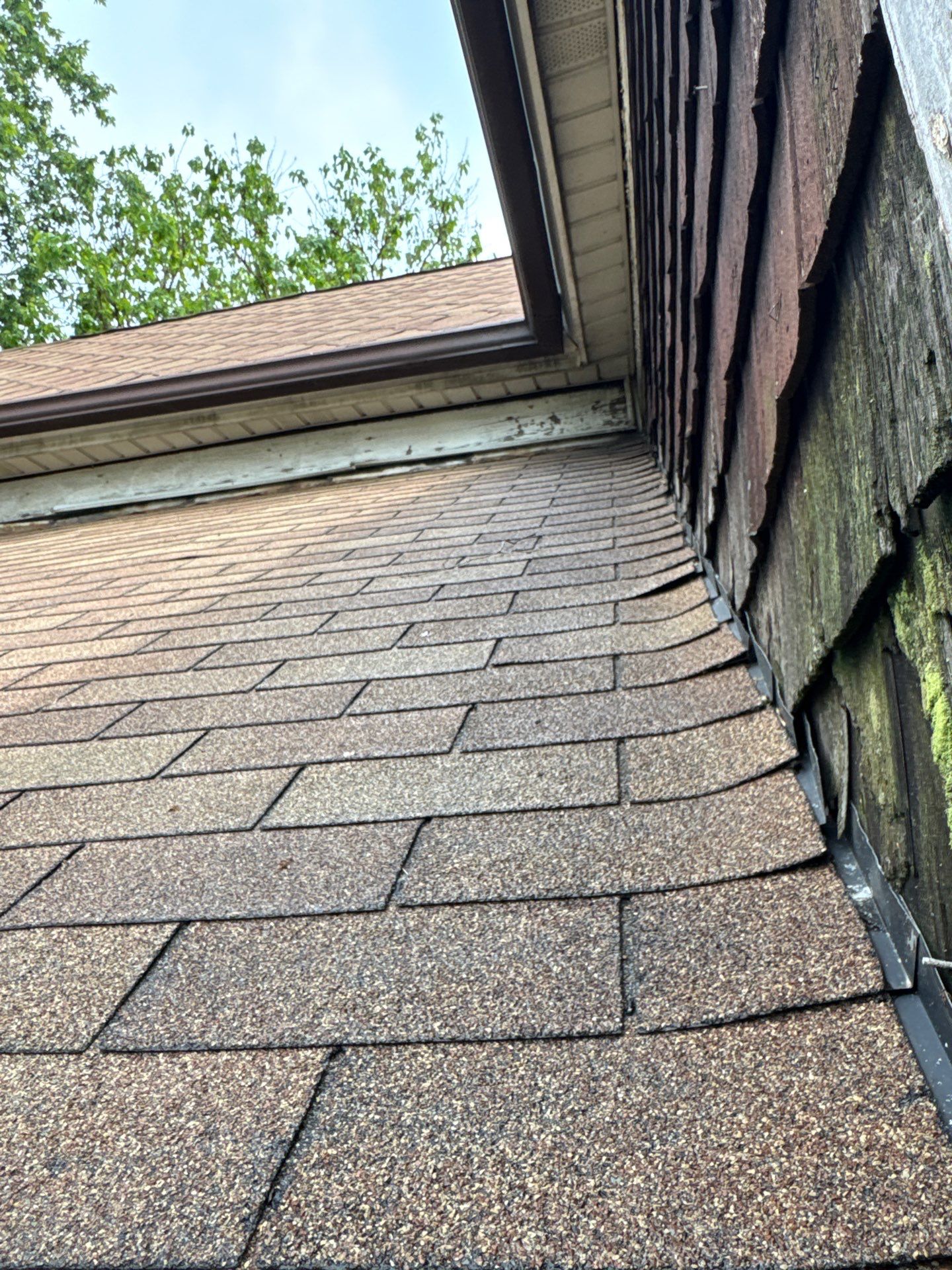 Chad Norris by Silver Leaf Contracting 