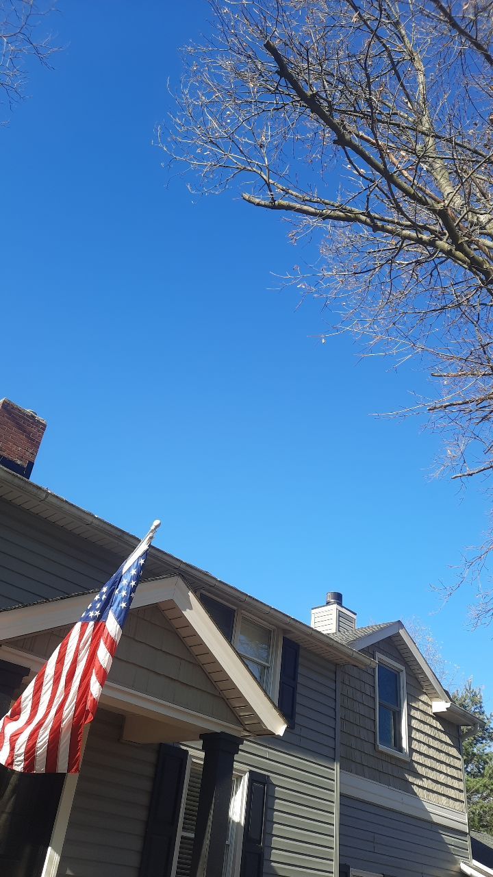 Tree Trimming using Tree Pruing by Mike Jones & Sons Tree Service LLC 