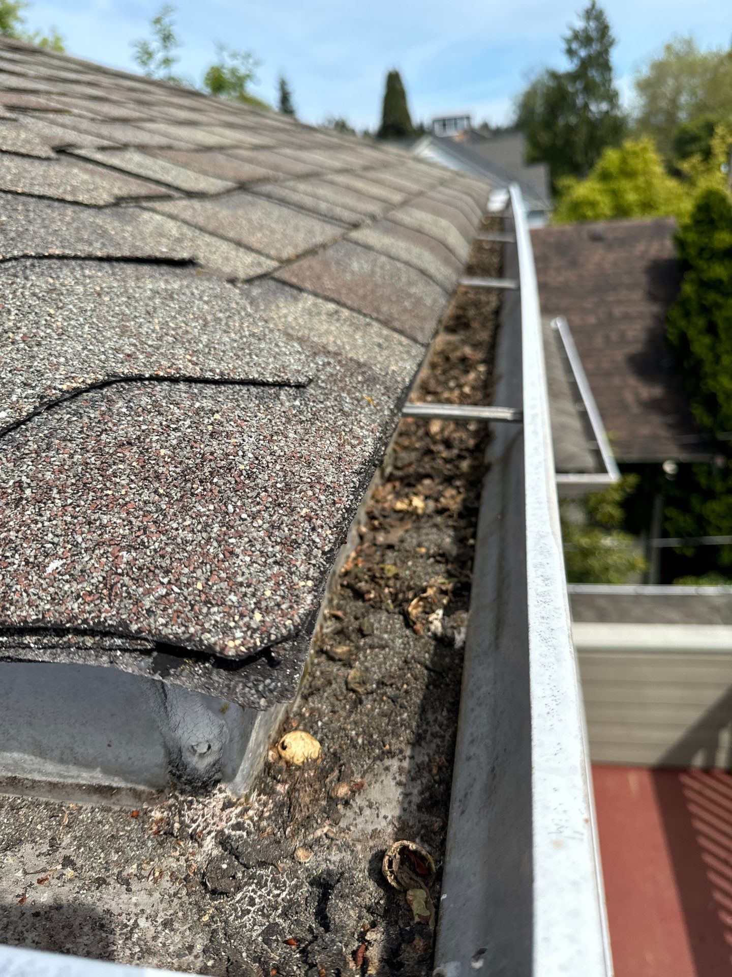 Project in Seattle by Peaks and Valleys Construction
