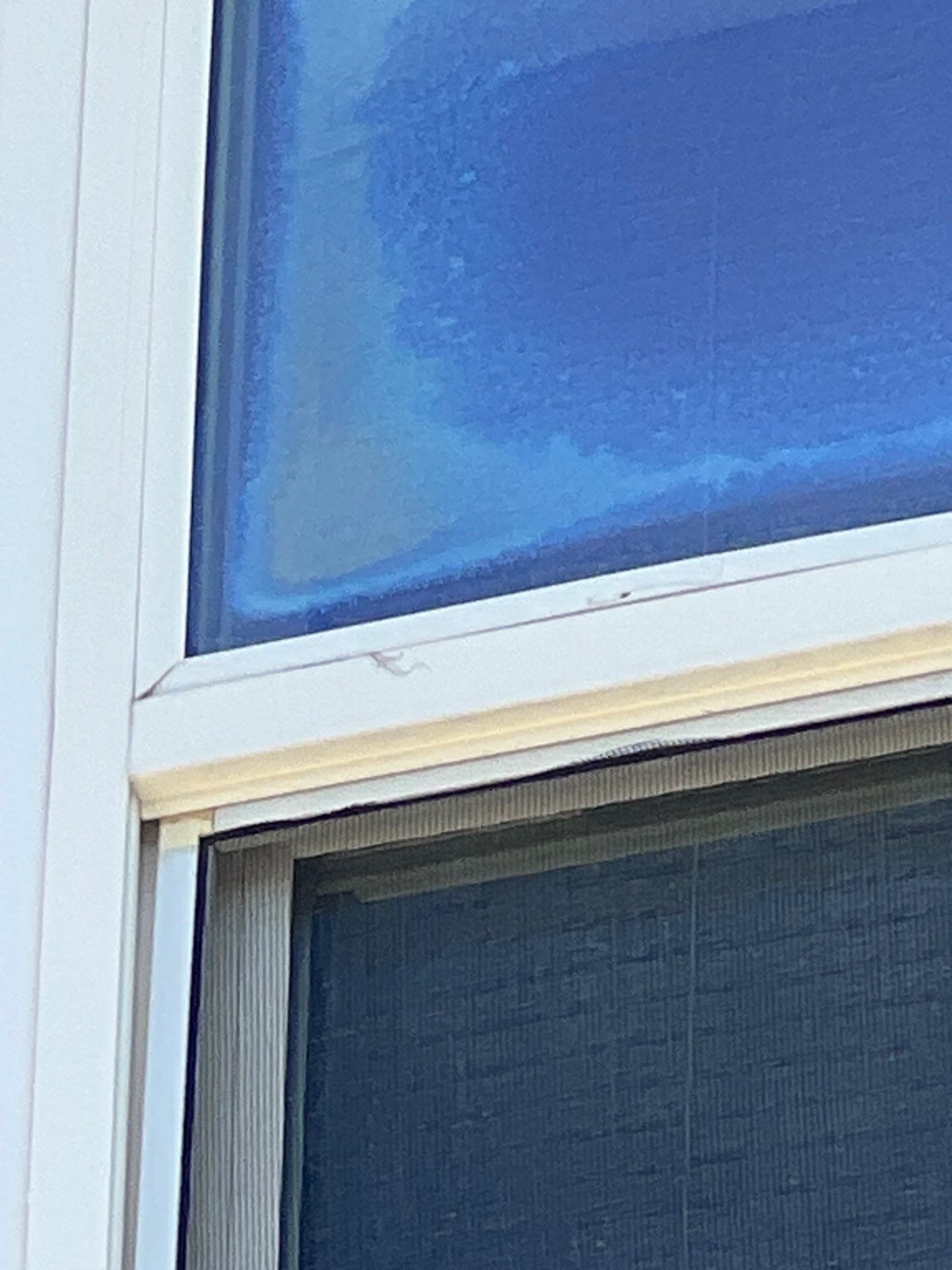 Coming Soon! Hail Damage Repair by 1st choice windows and siding