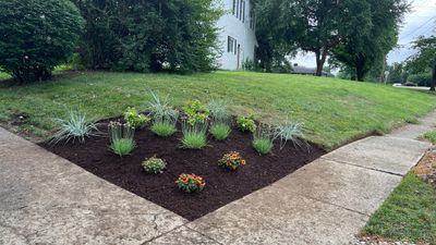 Landscape Tear Out & Install