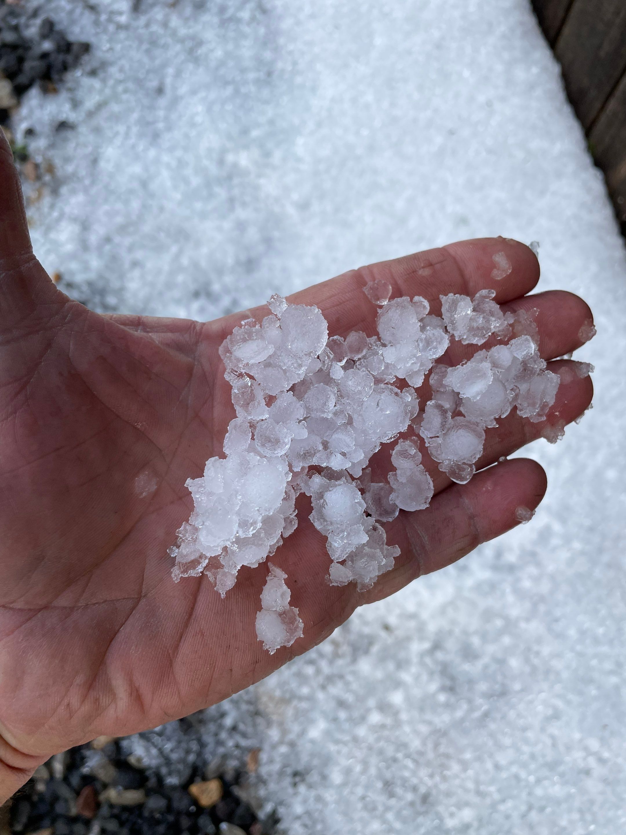 Art Studio Garage Addition by Rio Grande Building & Storage