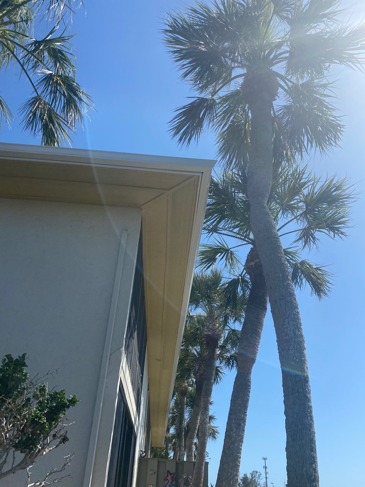 Commercial Gutter Systems for Businesses in Holmes Beach FL by Gutter Professors